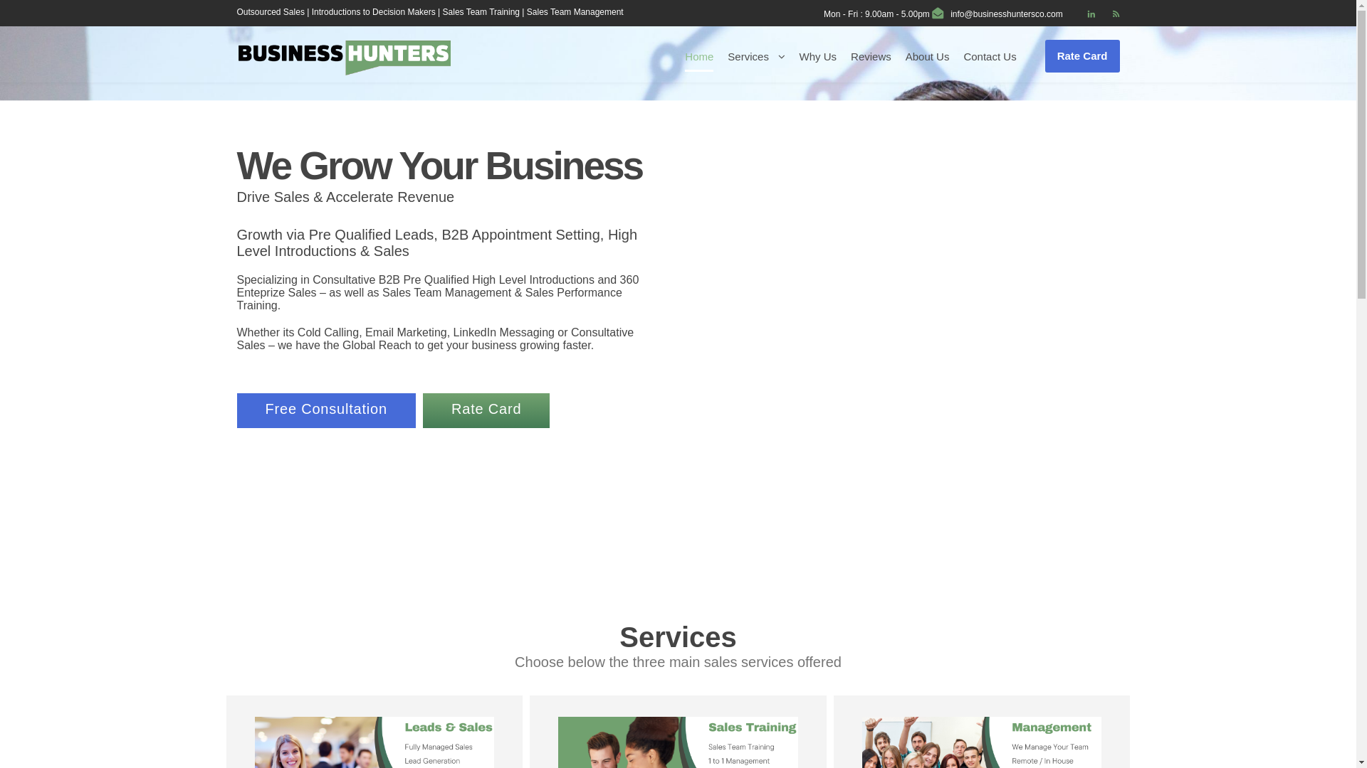 website screenshot of https://b2bhuntersagency.com/