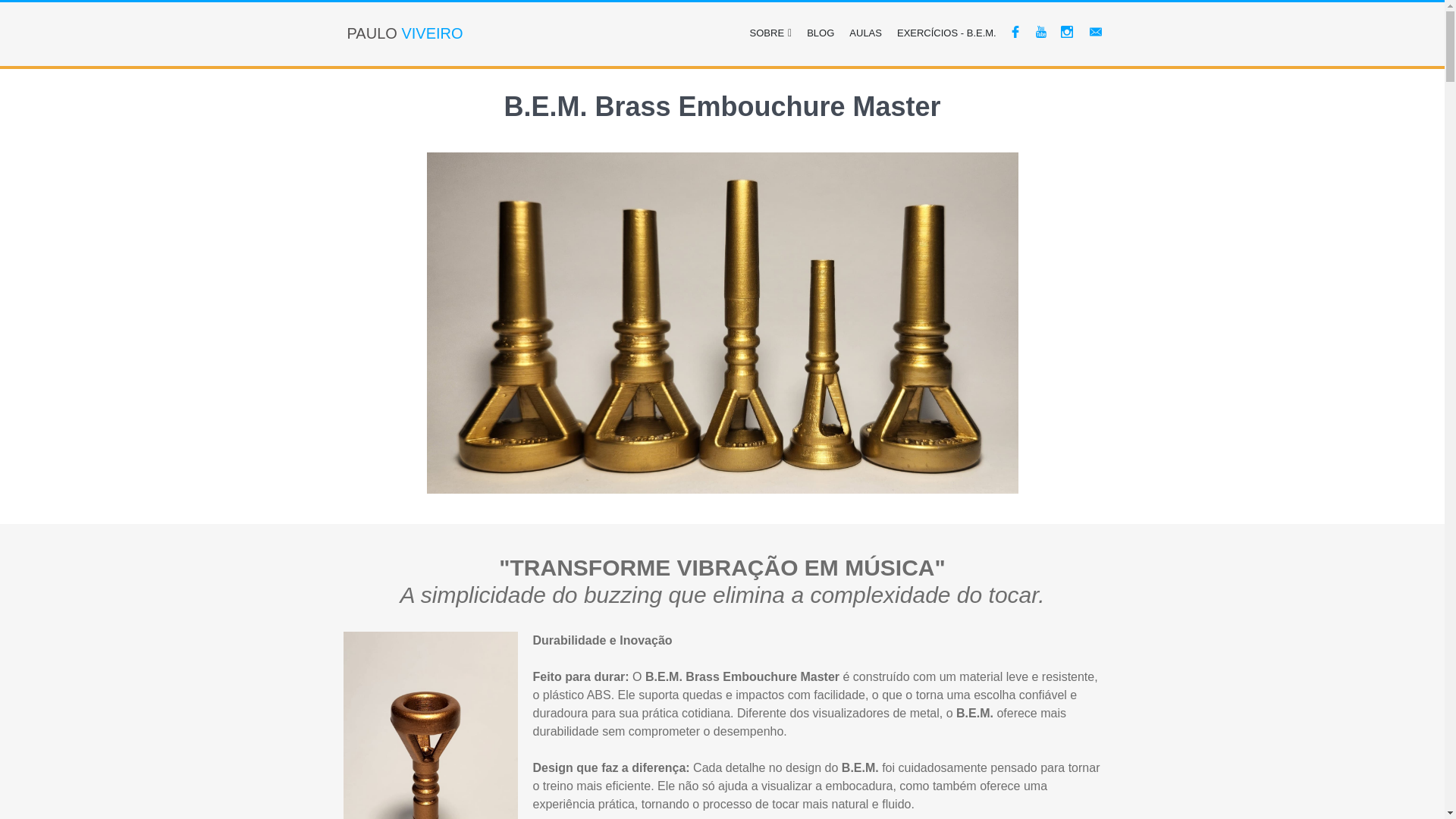 website screenshot of https://bemviveiro.com.br/