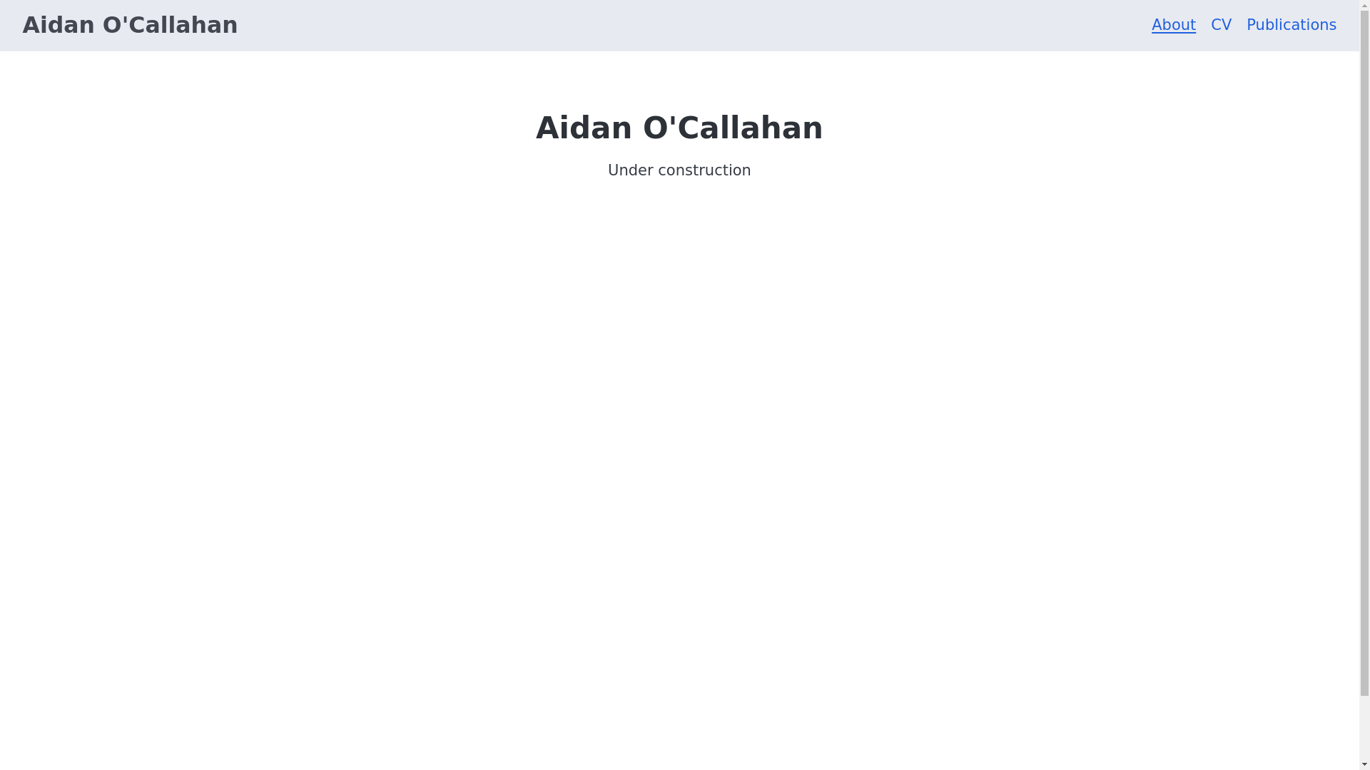 website screenshot of https://aidanocallahan.com/