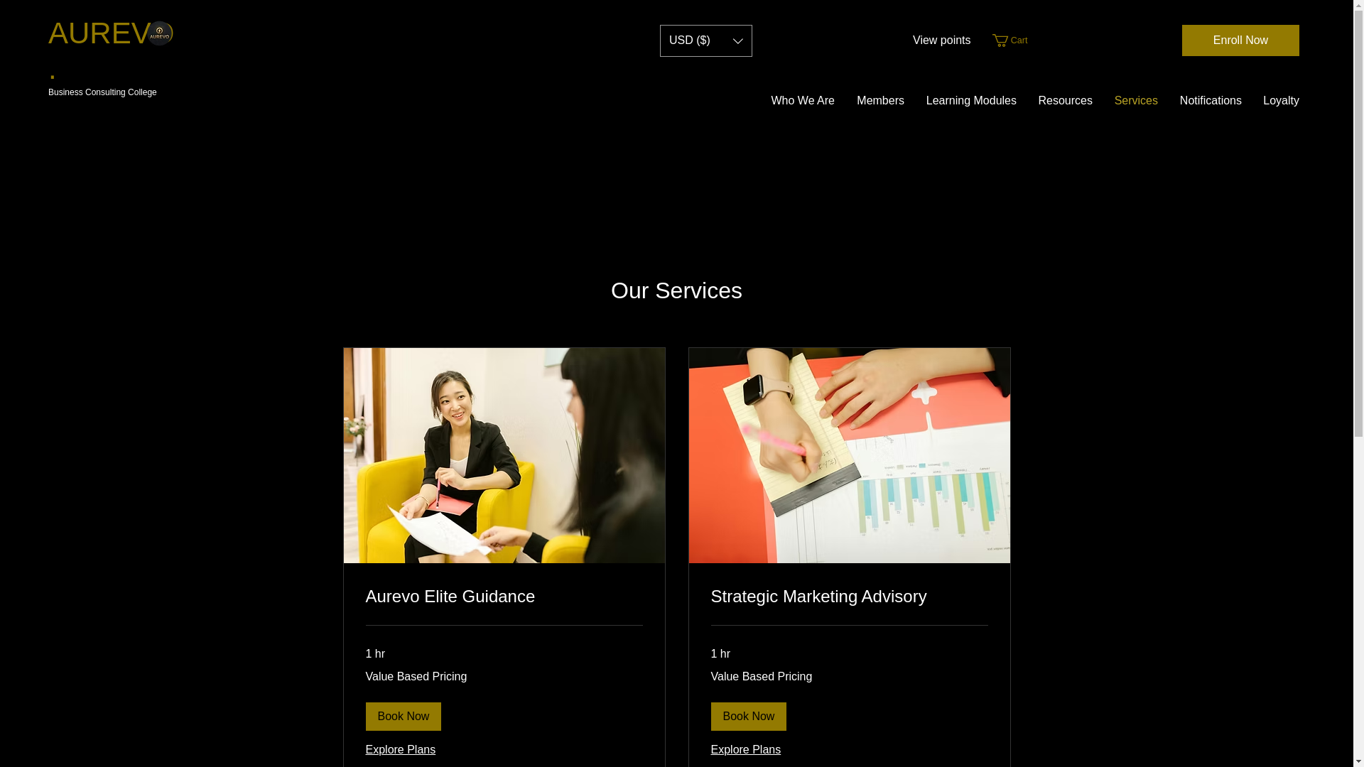 website screenshot of https://aurevobusinesscollege.com/