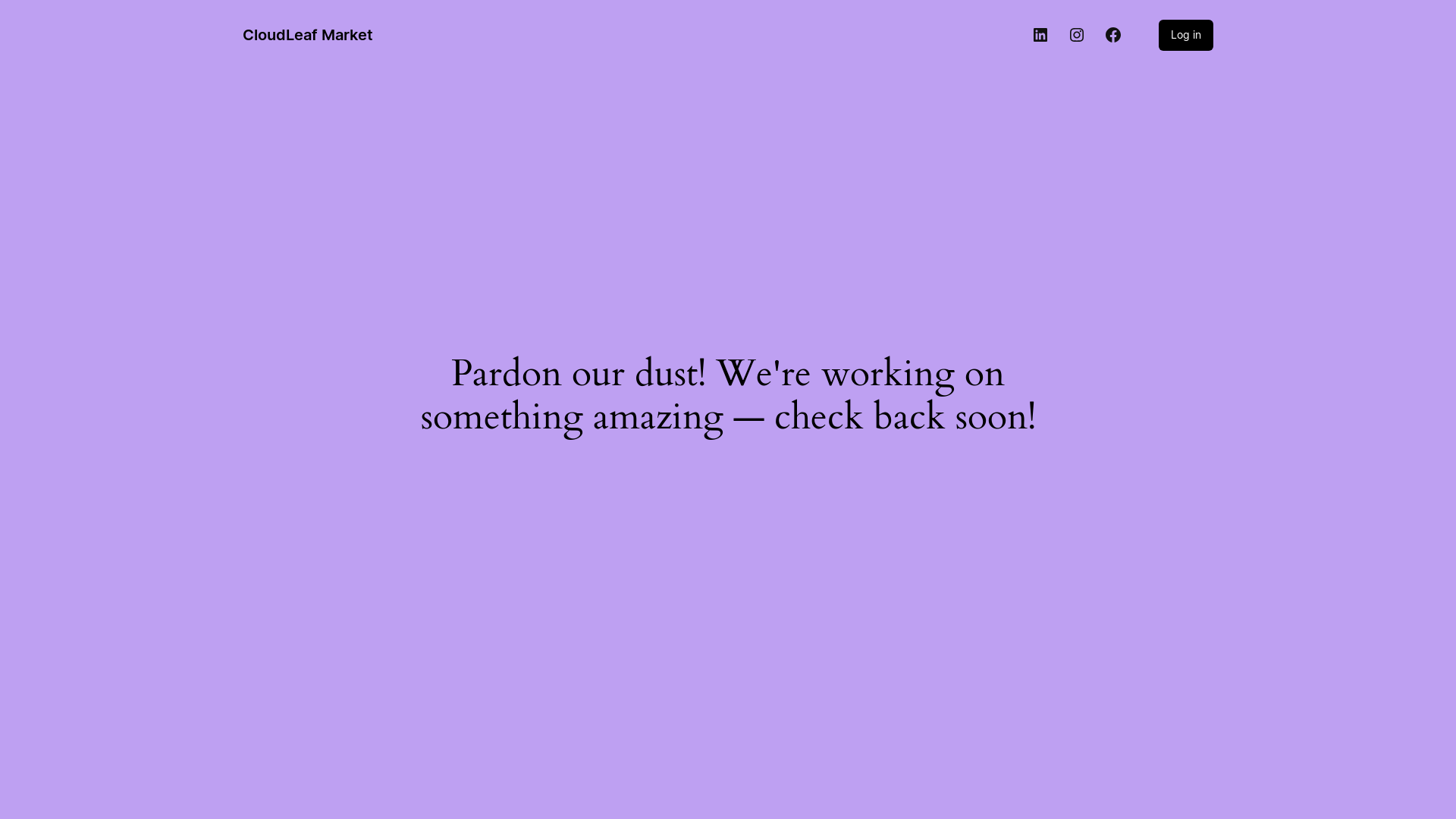website screenshot of https://cloudleafmarketing.com/