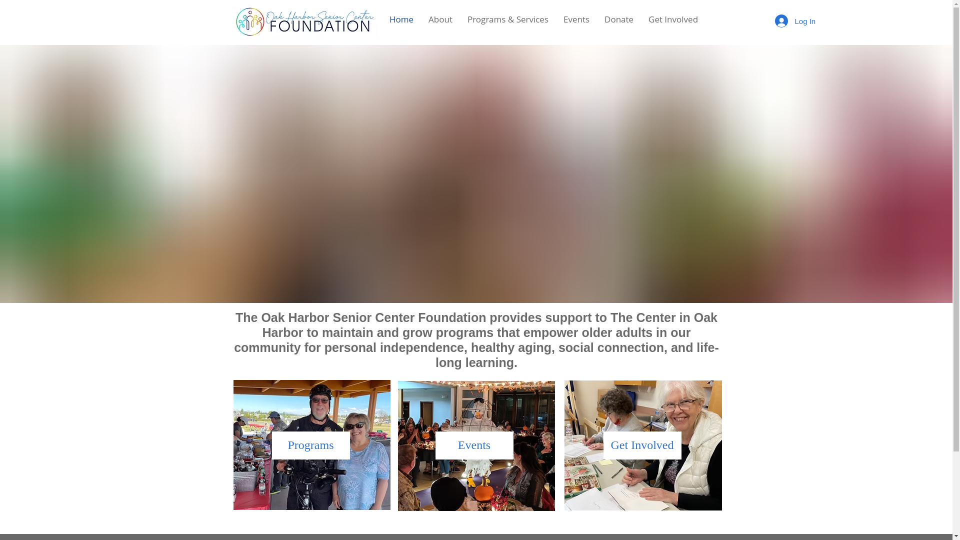 website screenshot of https://wearableartohsc.com/