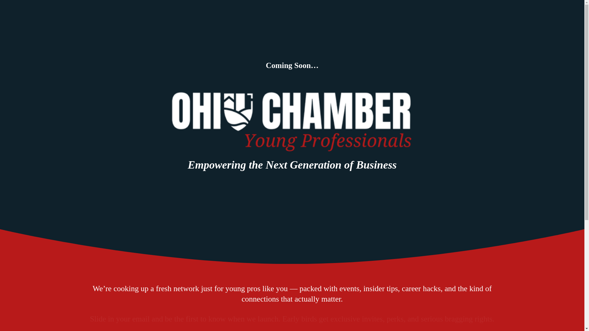 website screenshot of https://ohiochamberyoungprofessionals.com/