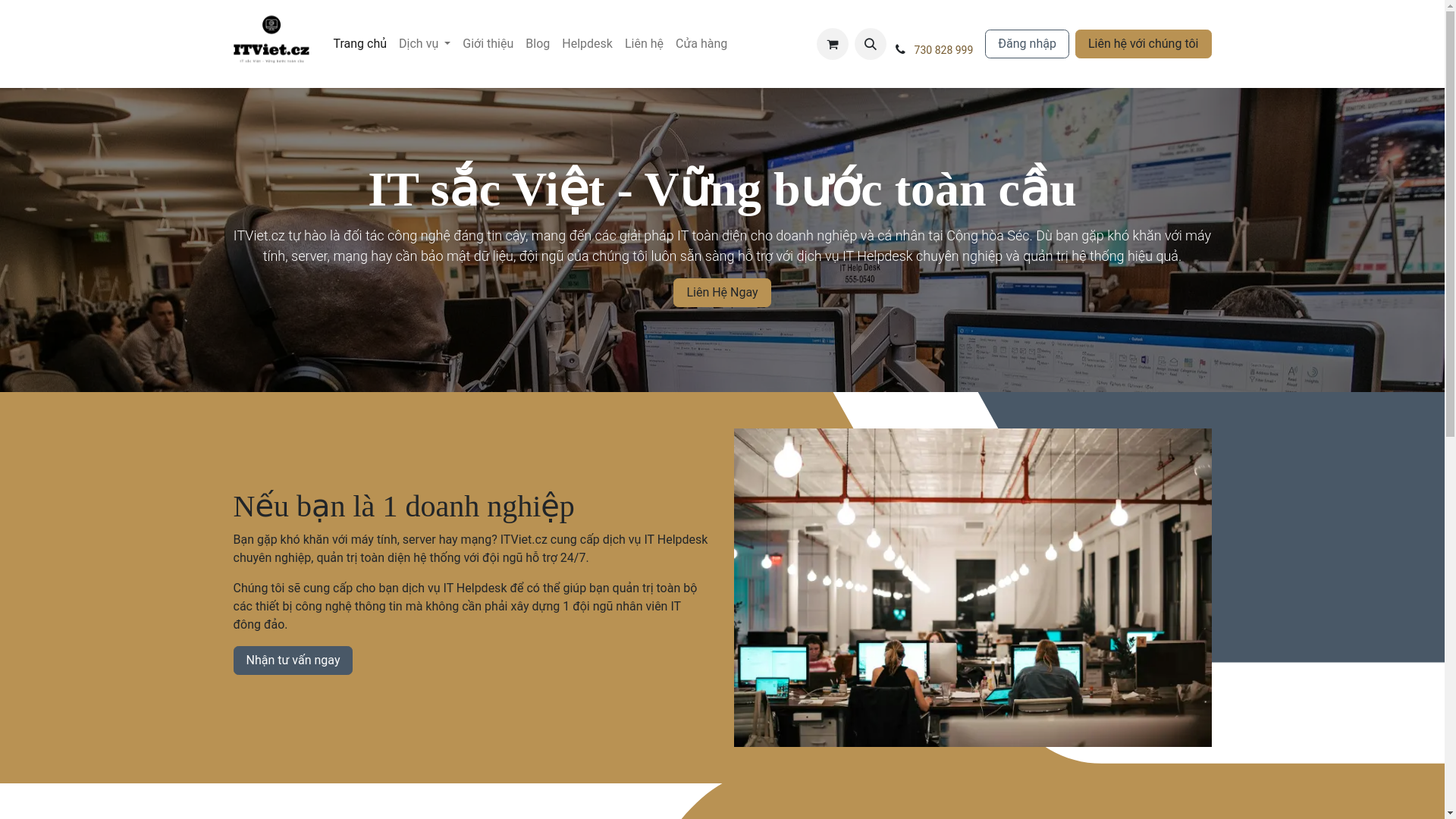website screenshot of https://itviet.eu/
