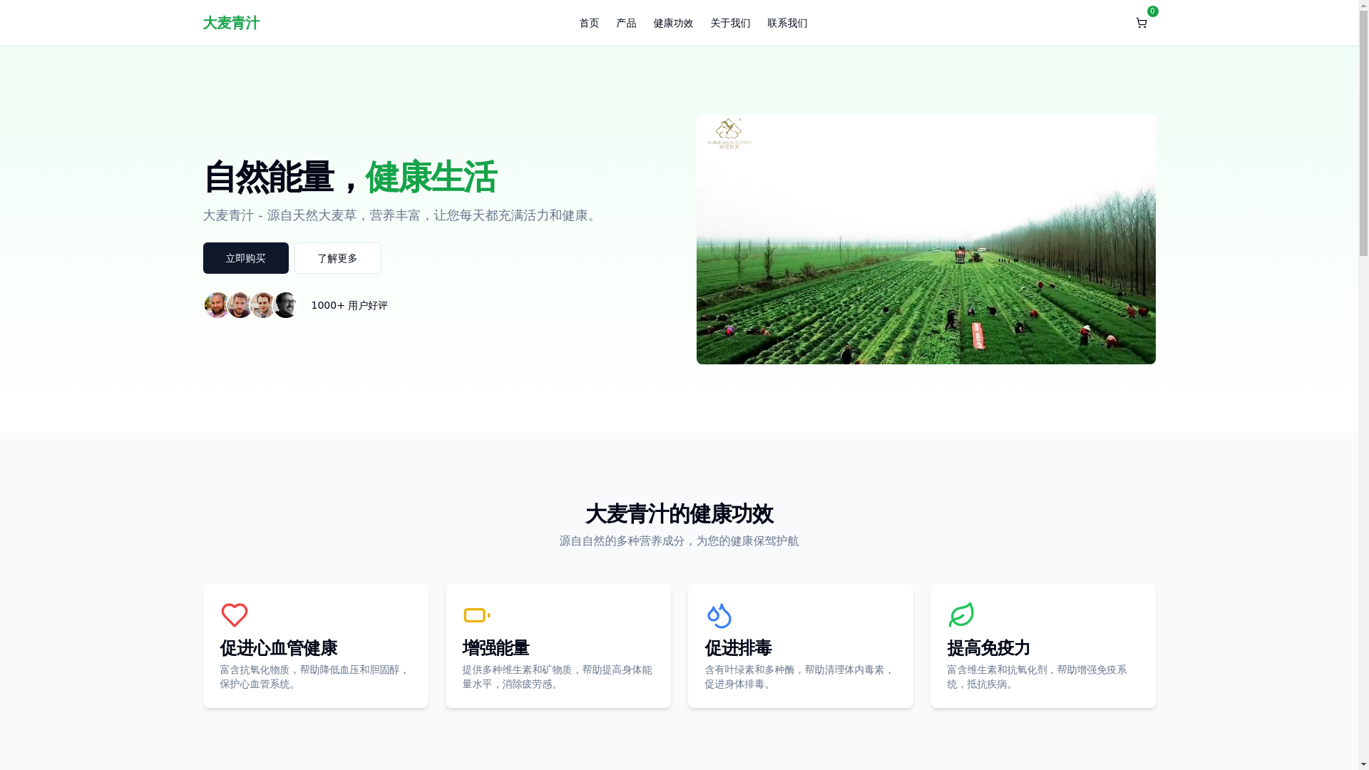 website screenshot of https://damaiqingzhi.pages.dev/