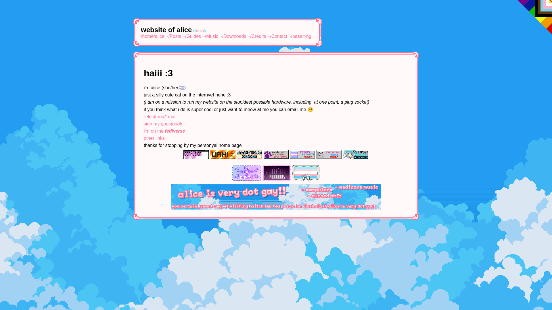 website screenshot of https://aliceisvery.gay/