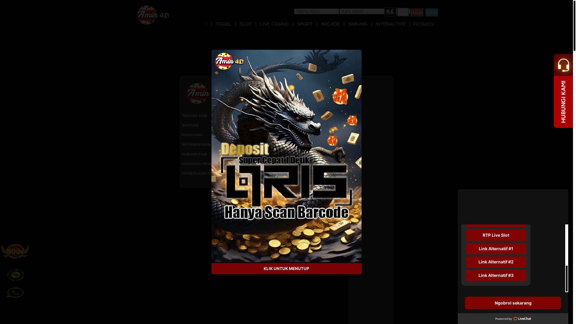 website screenshot of https://amin4d-1305.site/