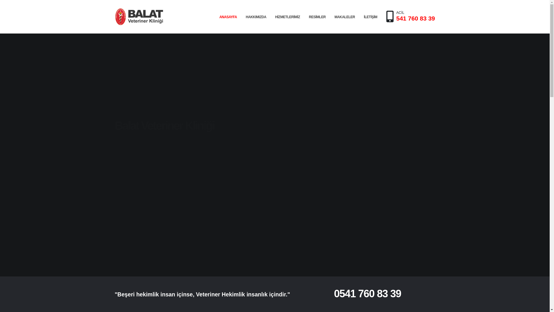 website screenshot of https://balatvet.com.tr/