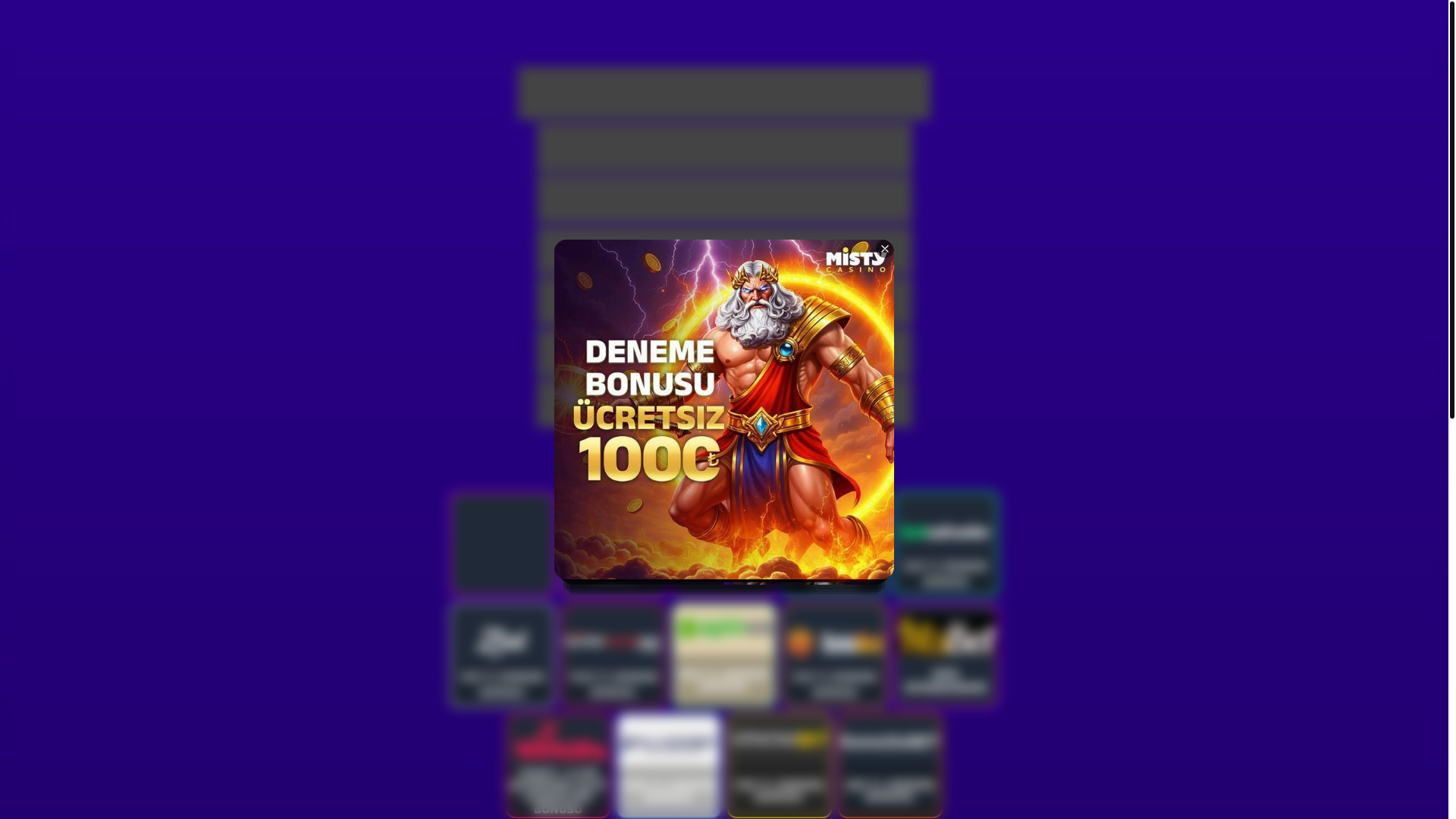 website screenshot of https://tolgareis38.com/