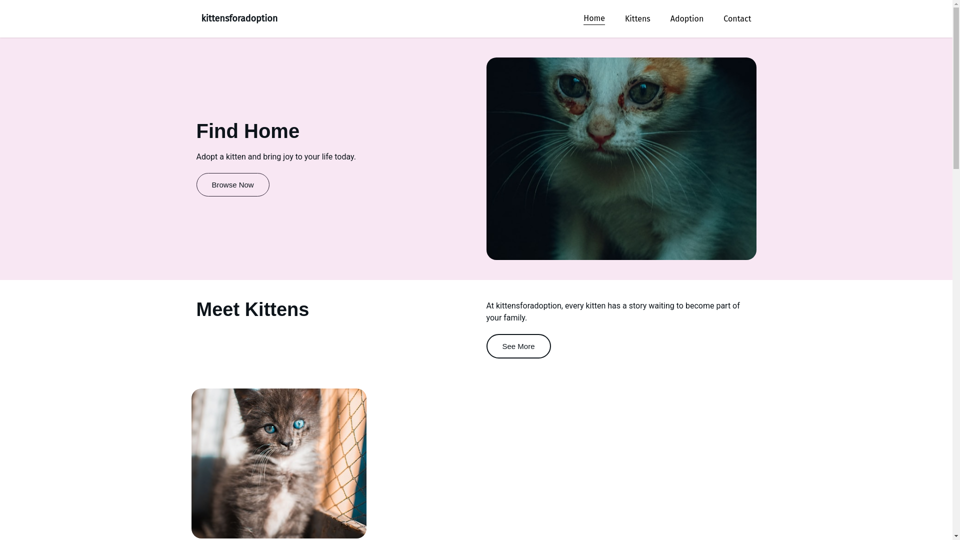 website screenshot of https://dianesshorthairedkittens.com/