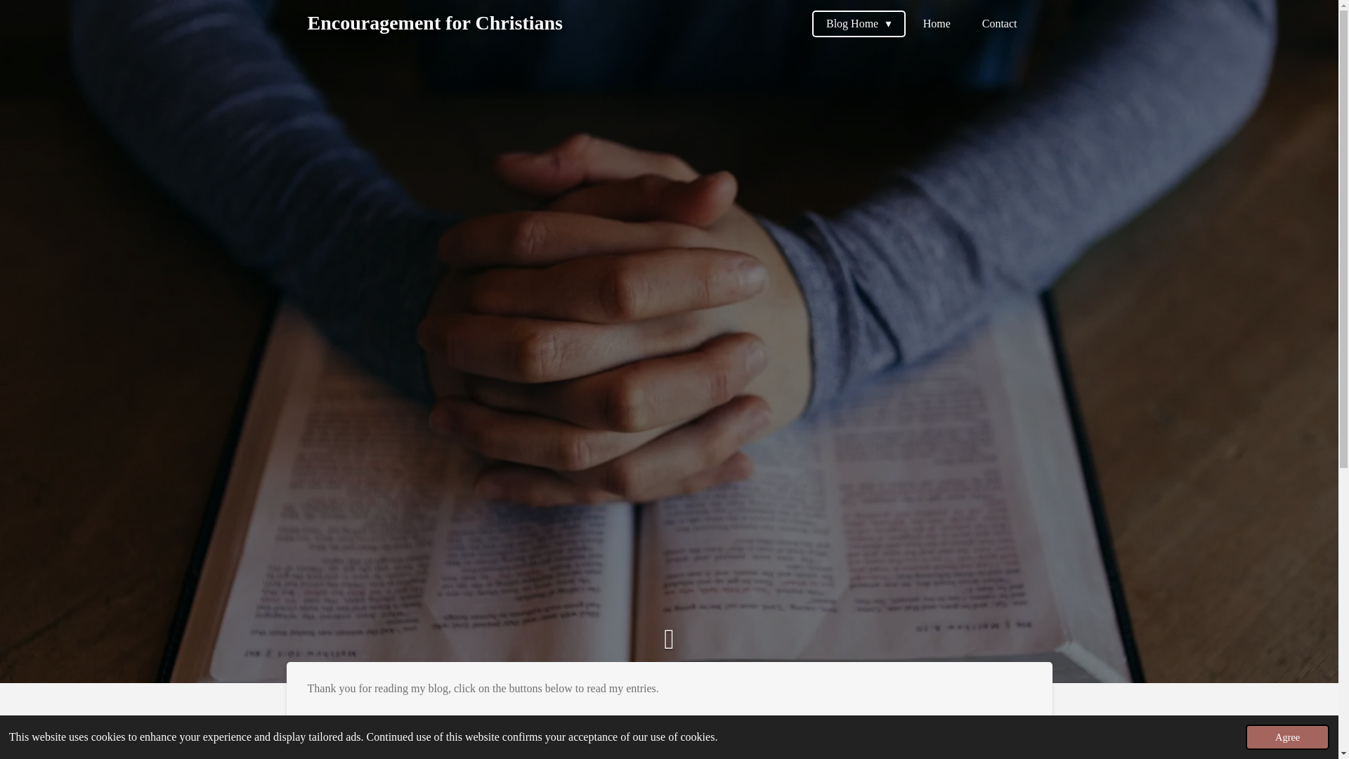 website screenshot of https://encouragementforchristians.com/
