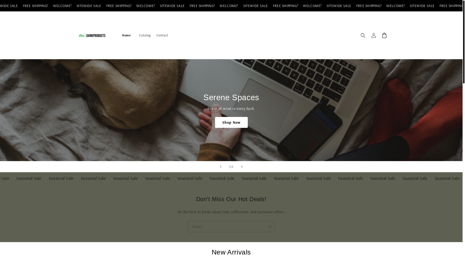 website screenshot of https://ganktech.store/