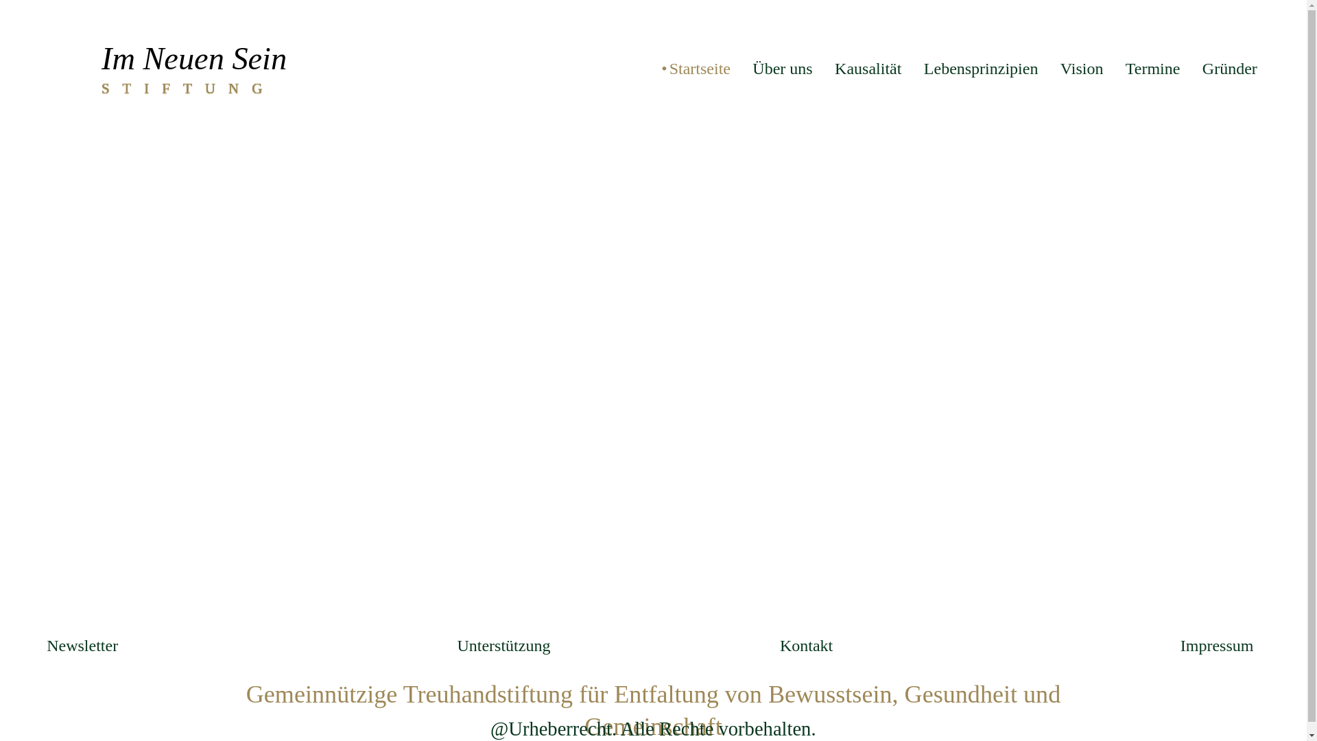 website screenshot of https://stiftung-imneuensein.org/