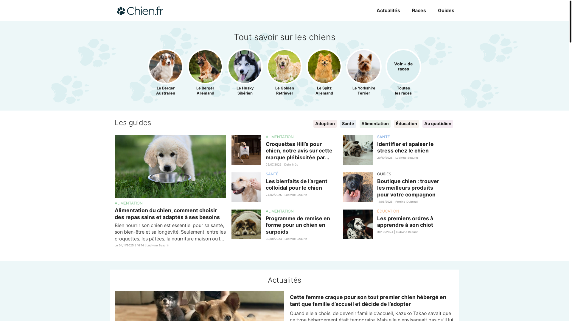 website screenshot of https://mychiensite.com/