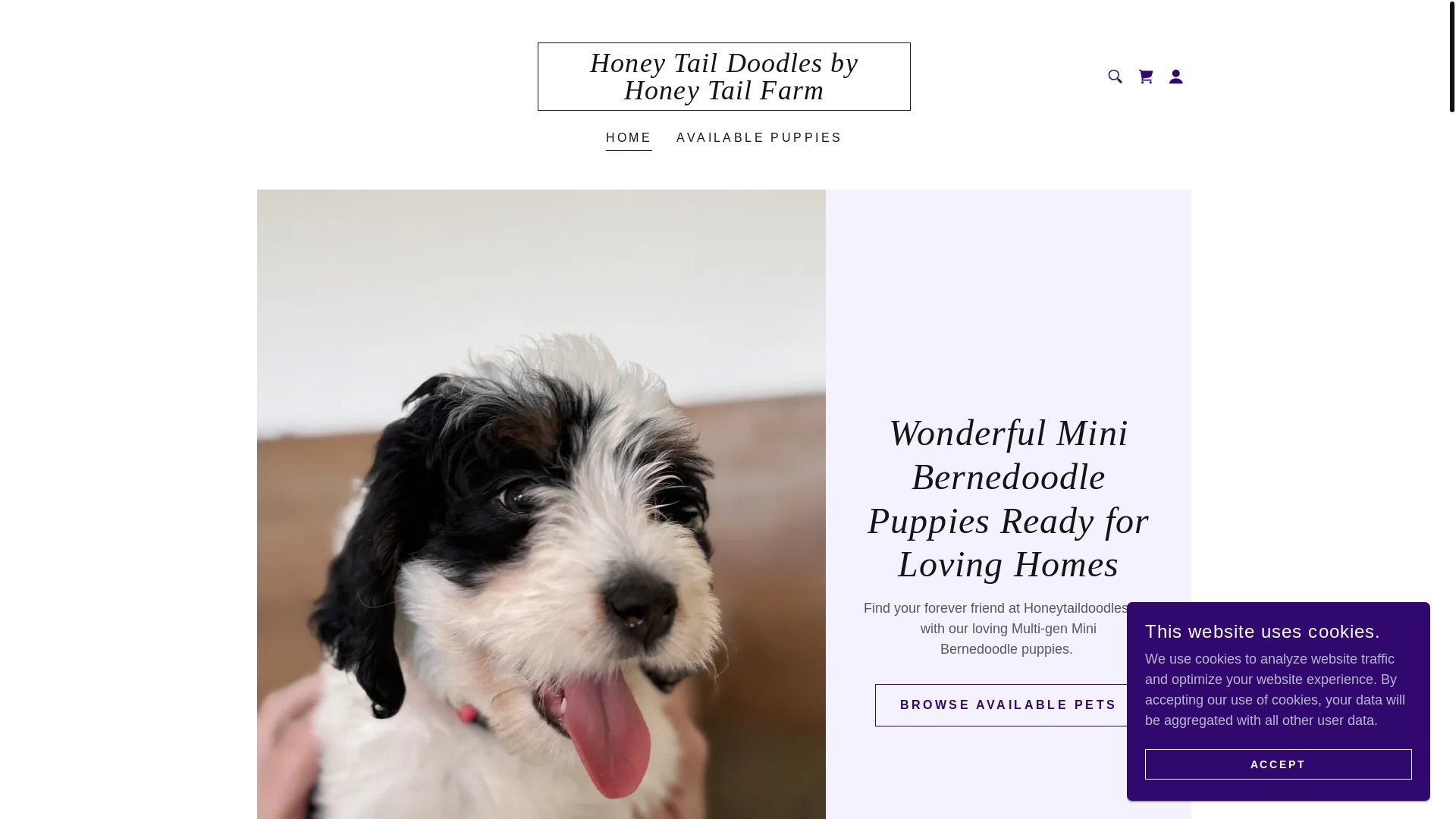 website screenshot of https://honeytaildoodles.com/