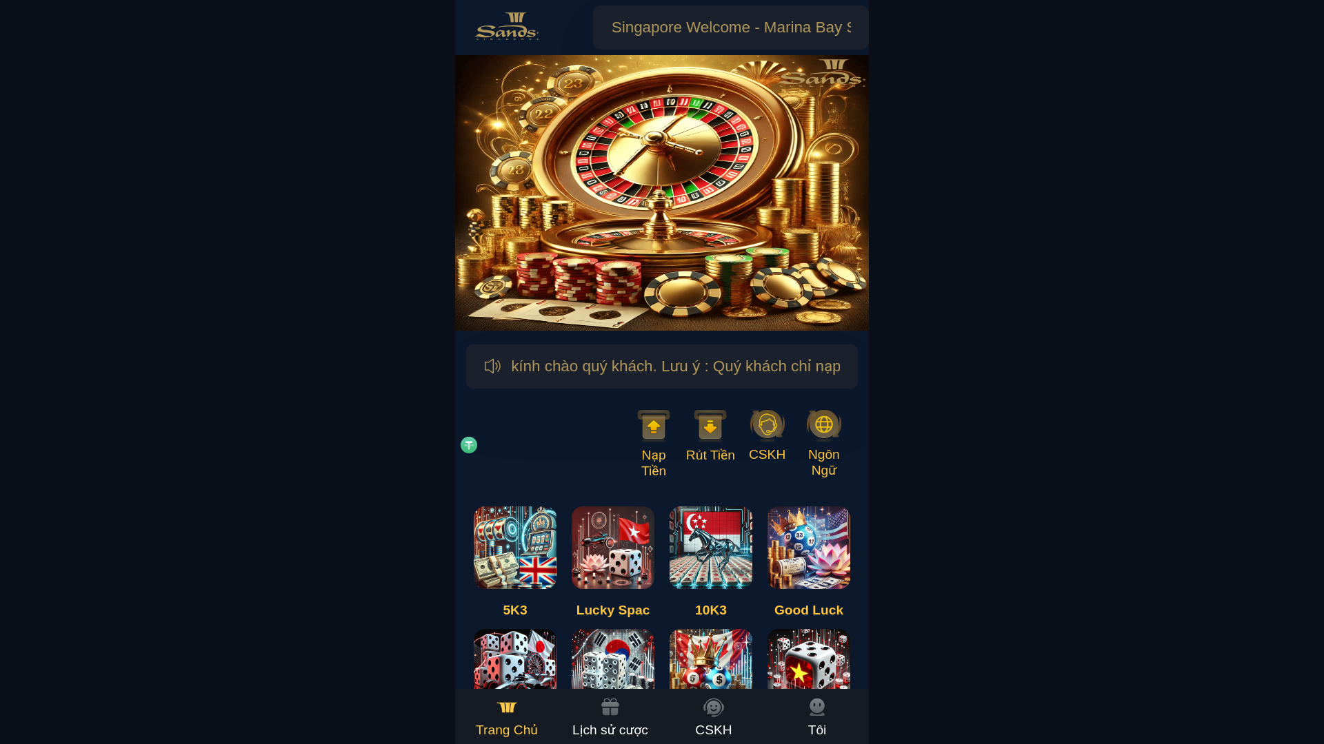 website screenshot of https://intl-mbvs-sands.com/