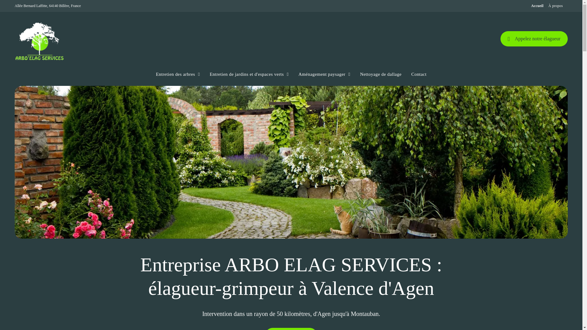 website screenshot of https://arbo-elag-services.fr/