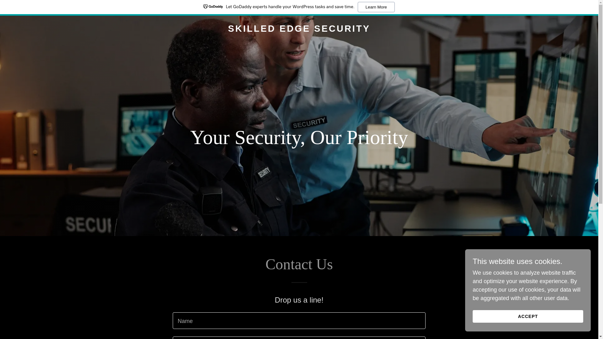 website screenshot of https://skilledgesecurity.com/