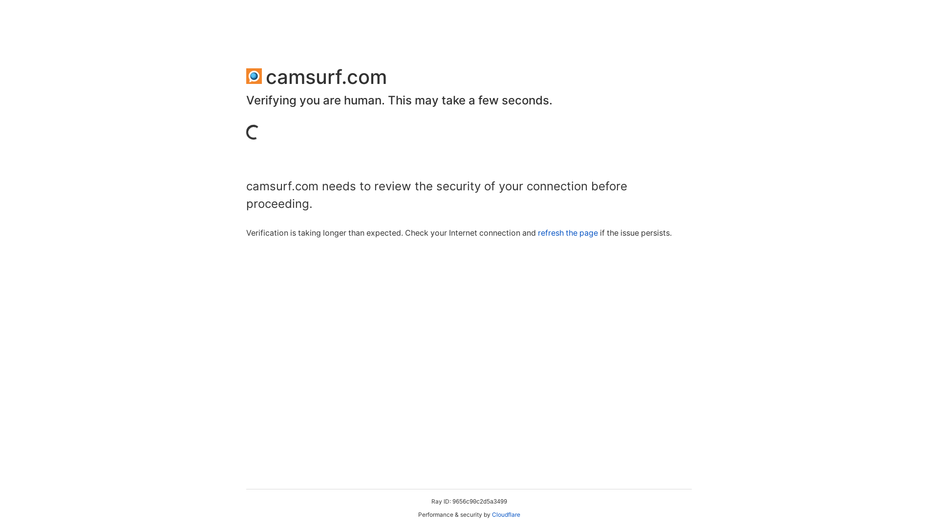 website screenshot of https://camsurf.com/
