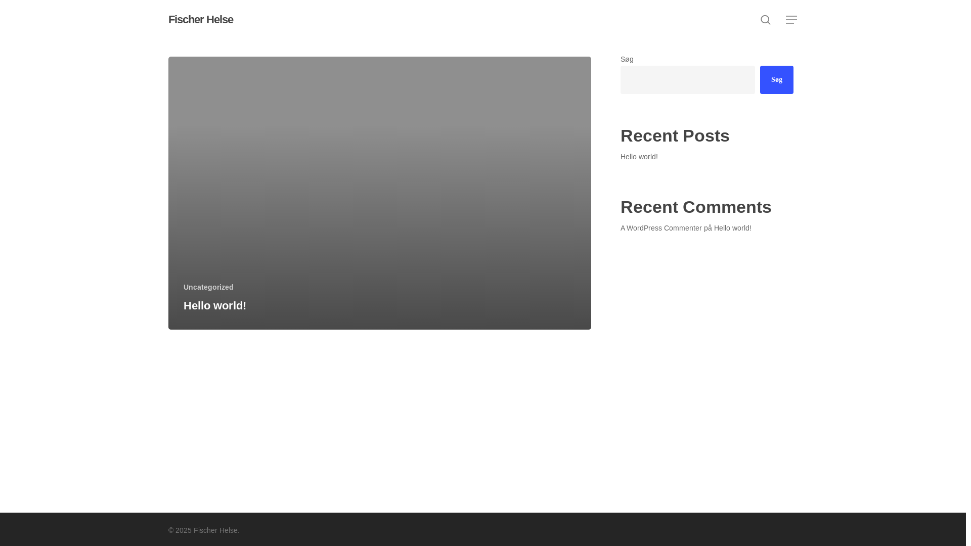 website screenshot of https://fischerhelse.dk/
