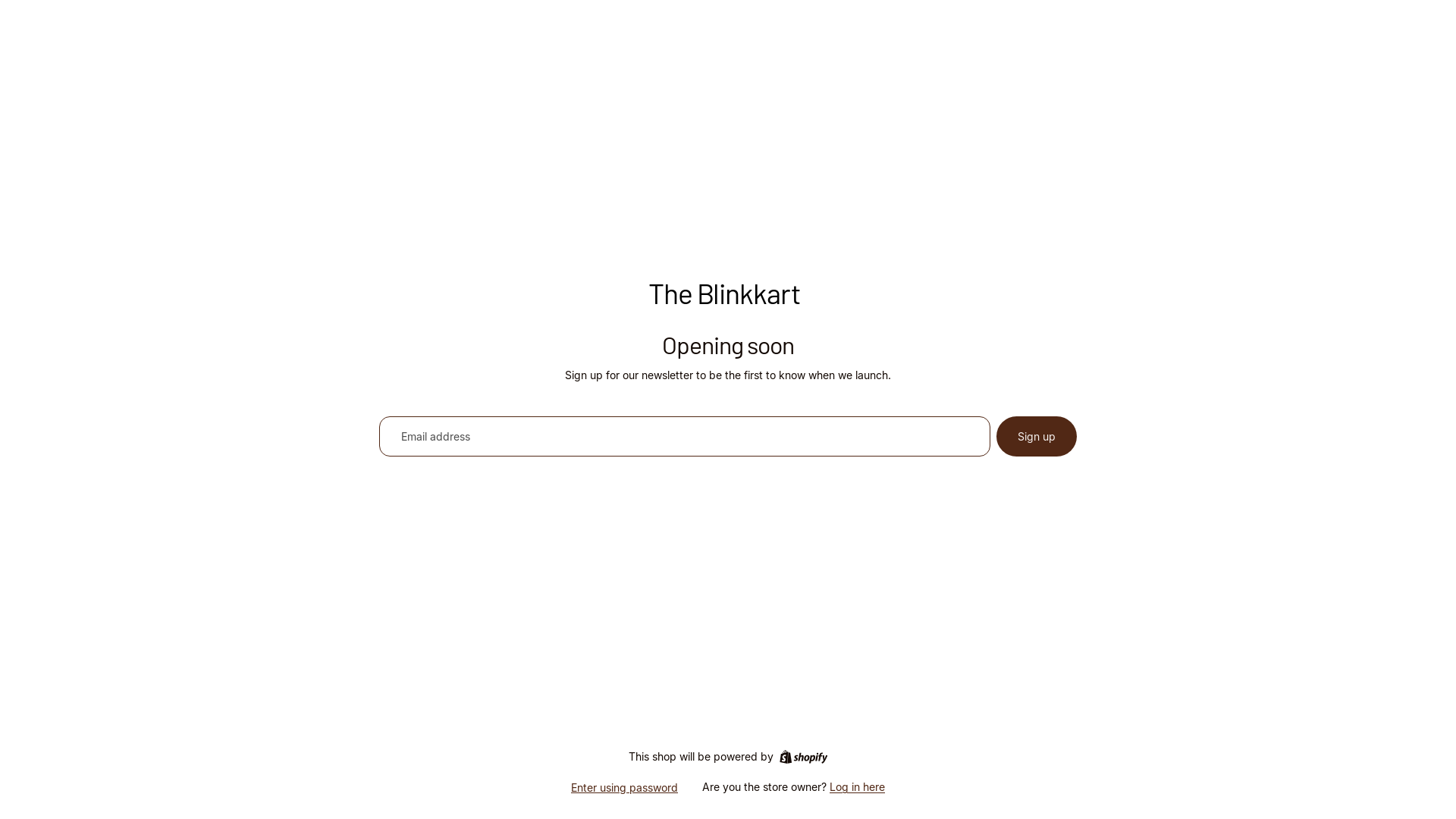 website screenshot of https://theblinkkart.com/