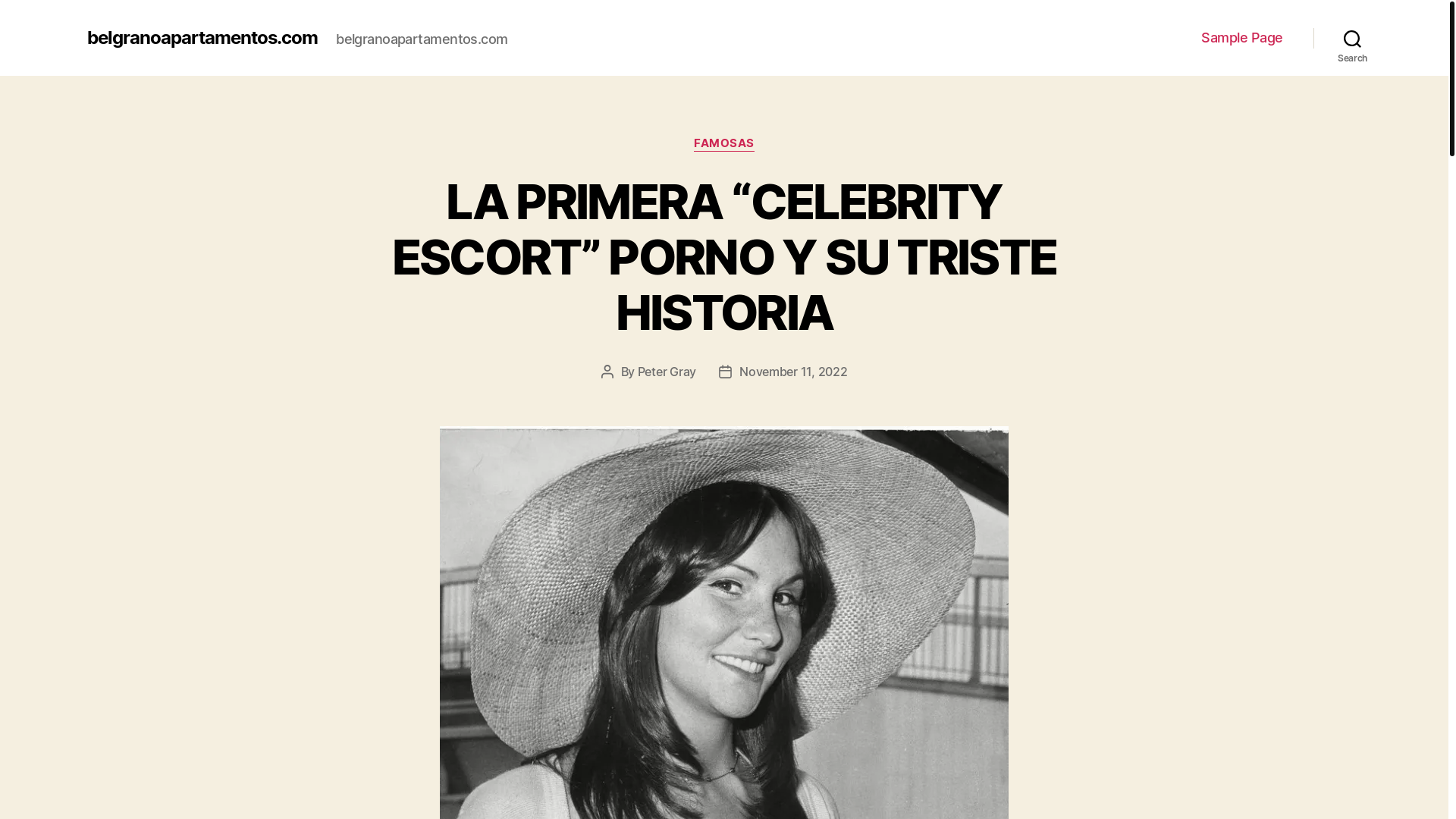 website screenshot of https://belgranoapartamentos.com/