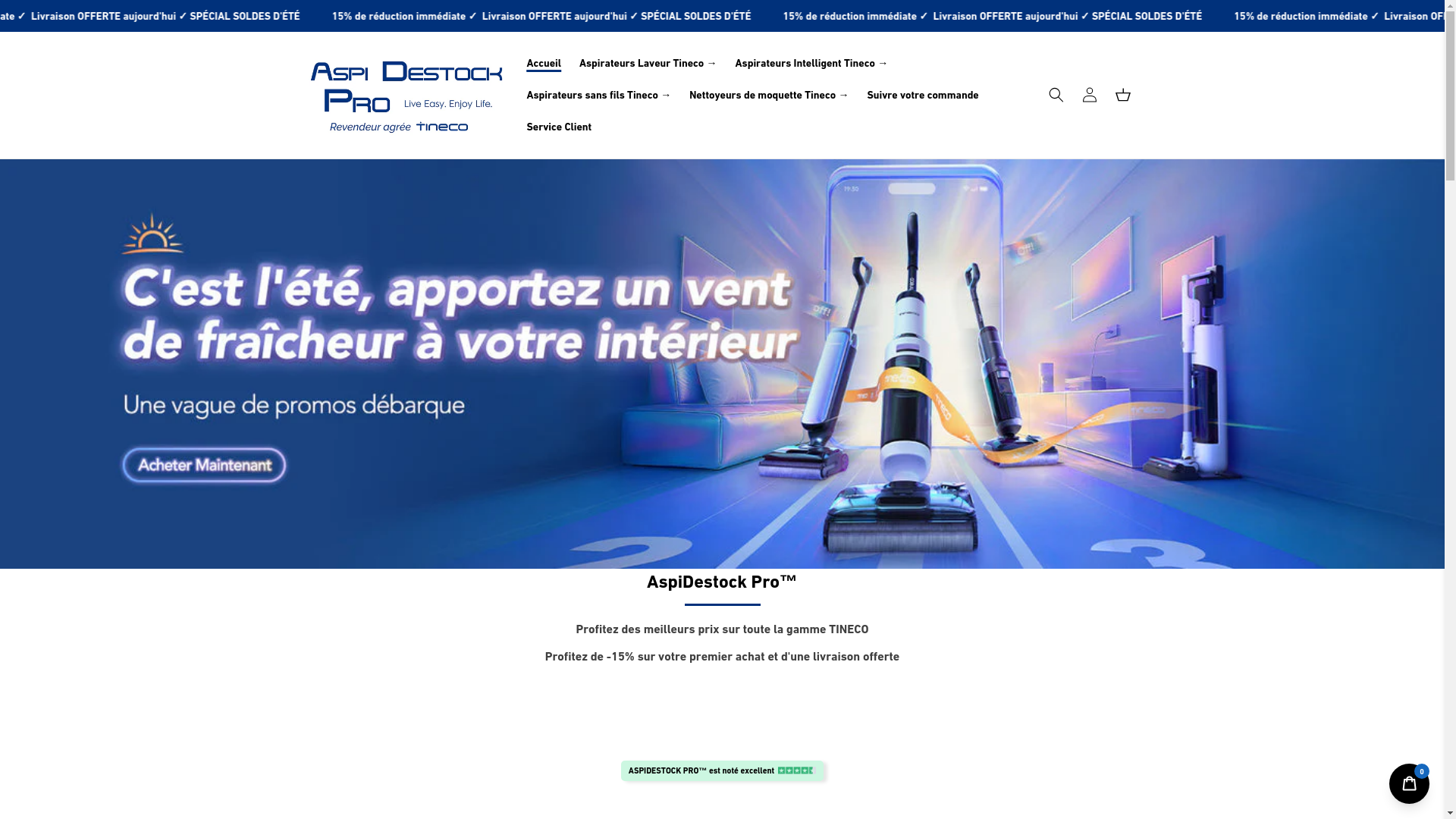 website screenshot of https://aspiclean-destock.com/