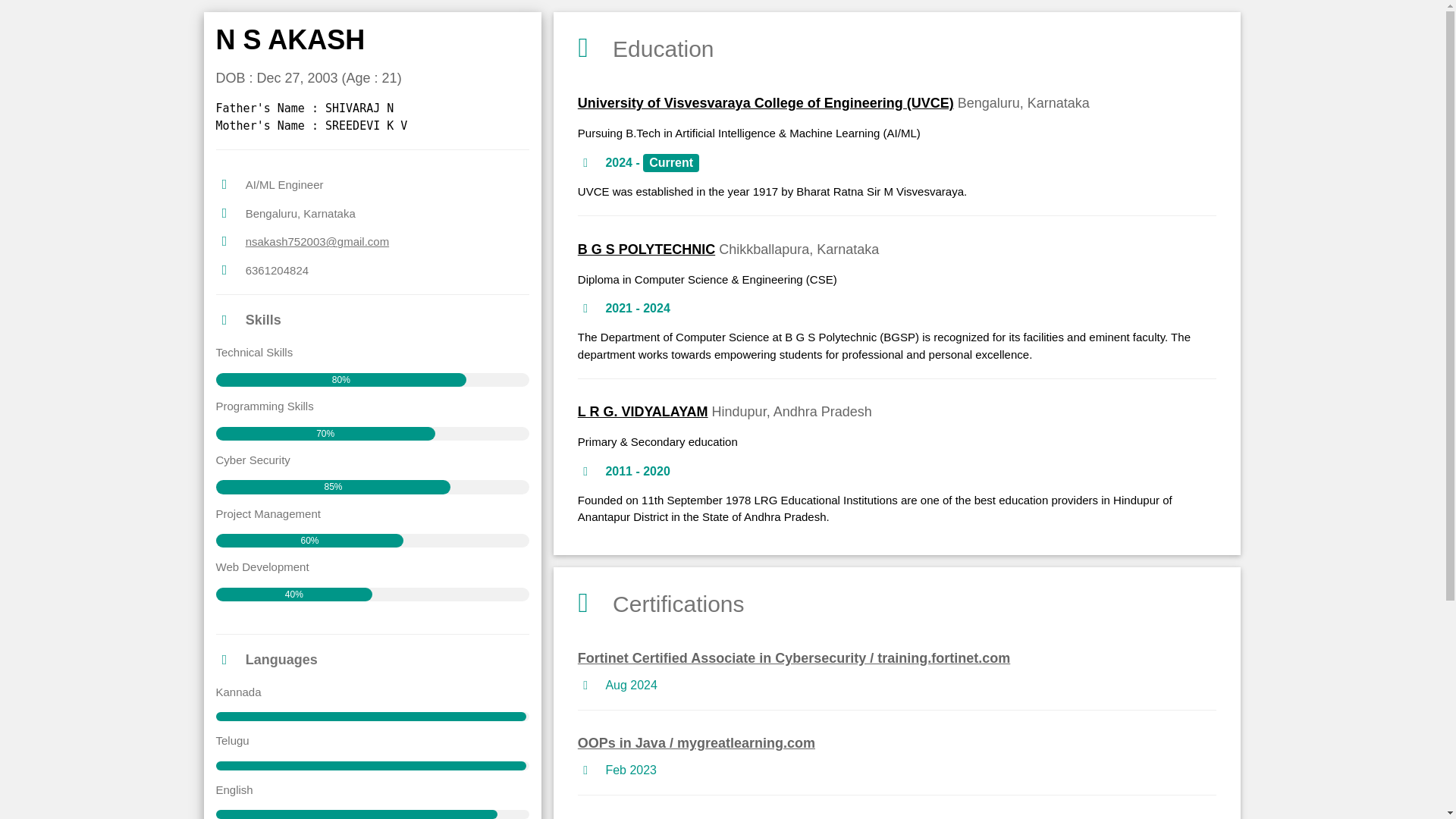 website screenshot of https://nsakash.click/