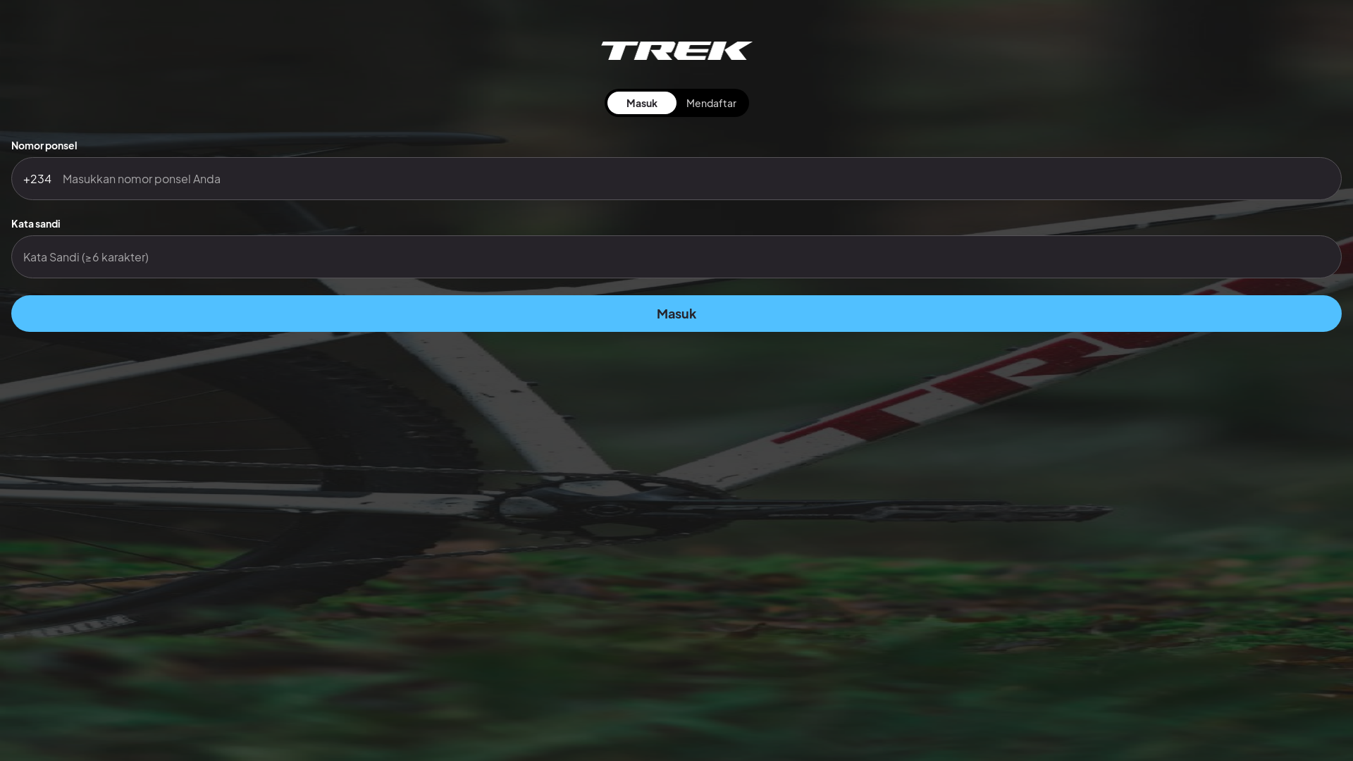 website screenshot of https://trek-bike.vip/