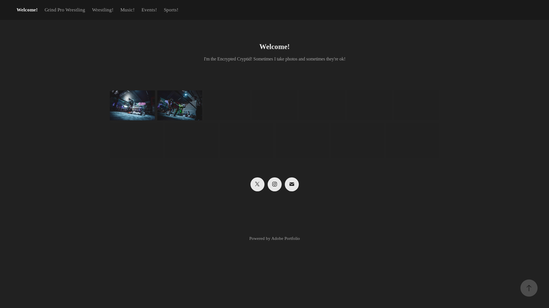 website screenshot of https://encryptedcryptid.org/