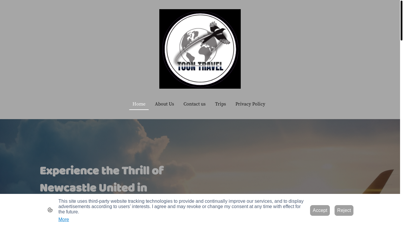 website screenshot of https://toontravel.co.uk/