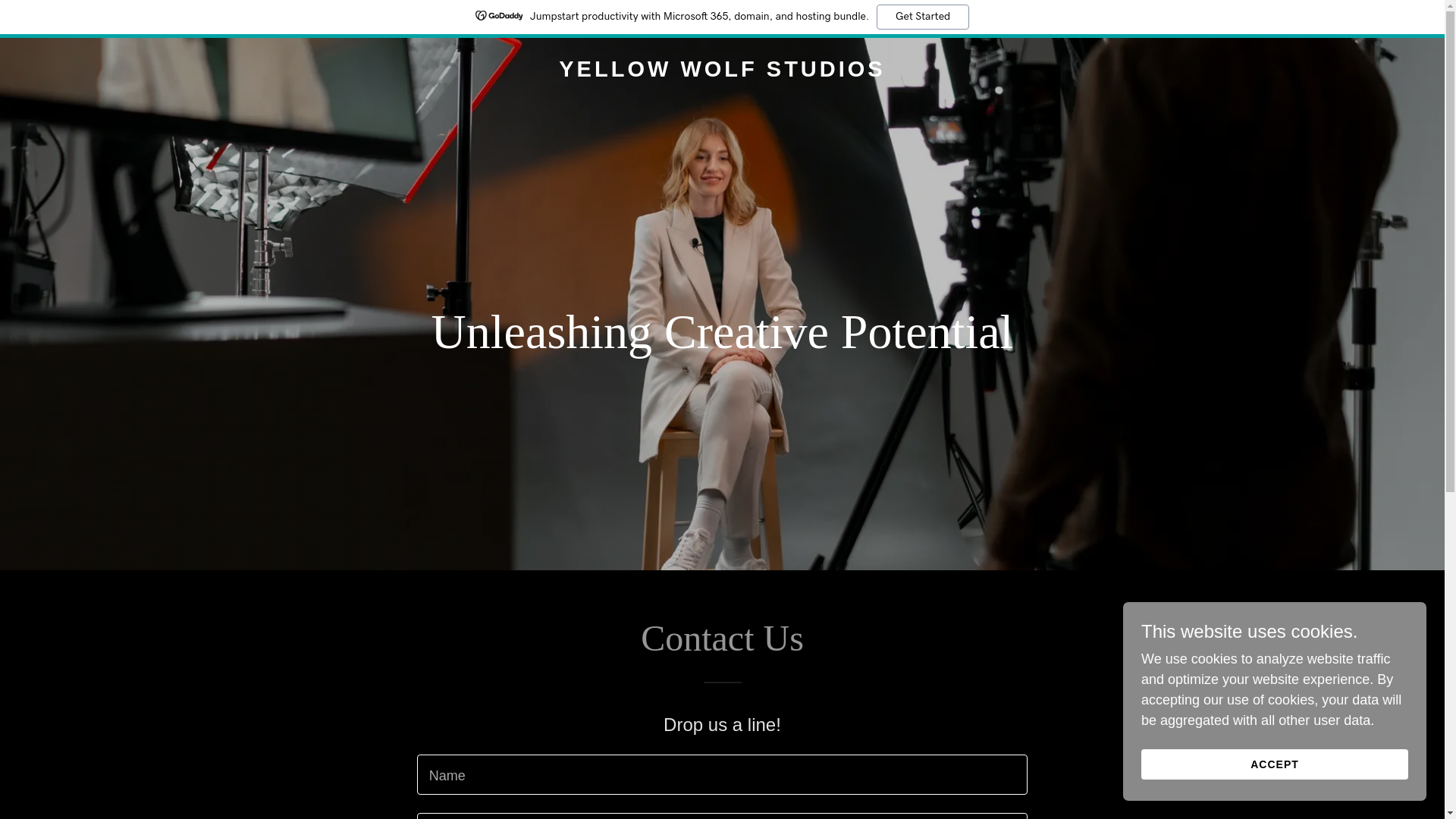 website screenshot of https://yellowwolfstudios.au/