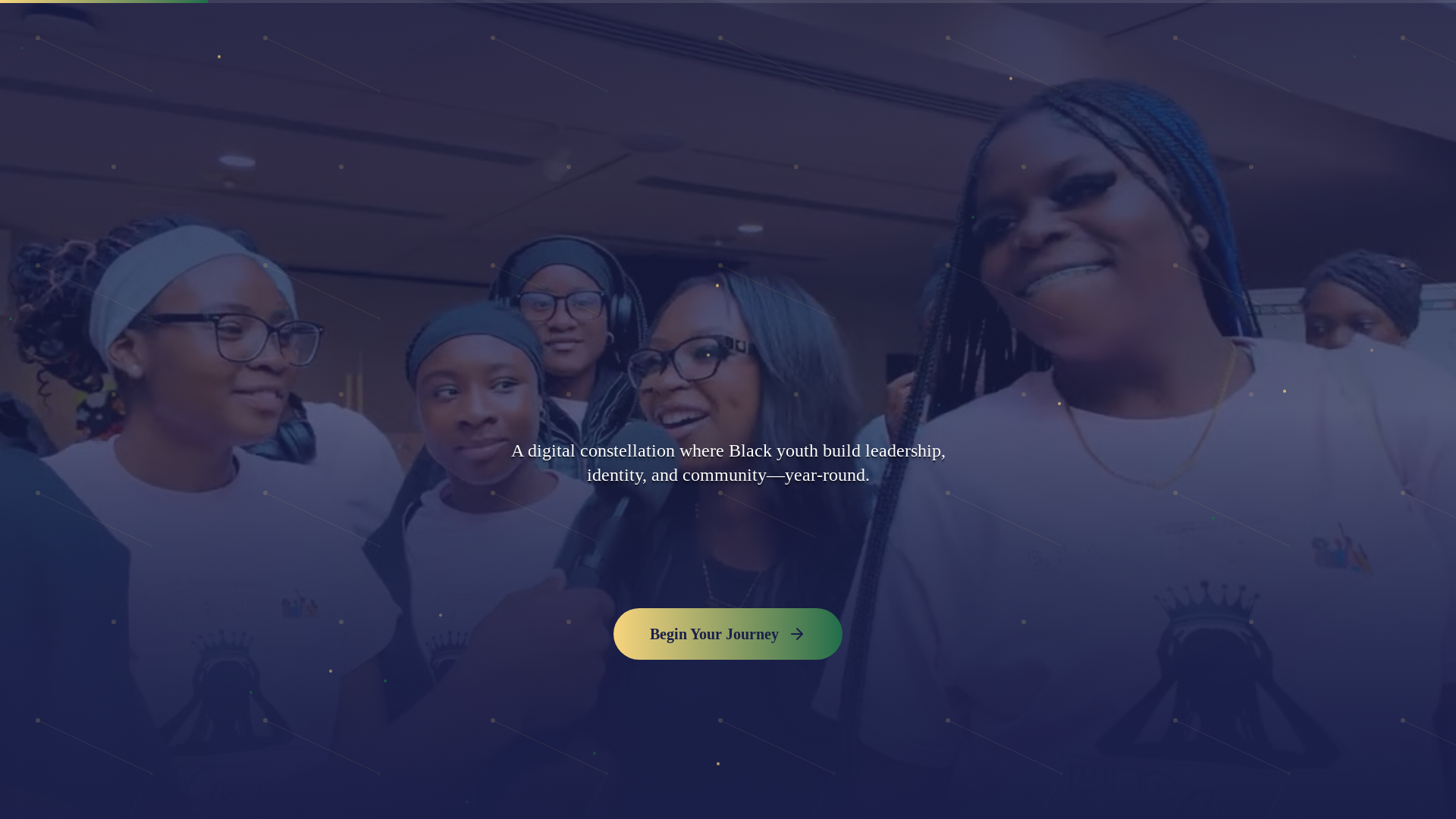 website screenshot of https://bsanorthstar.org/