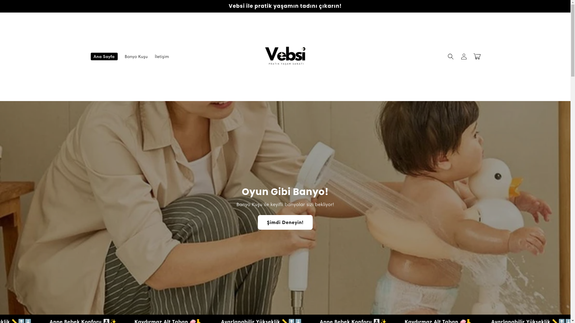 website screenshot of https://vebsi.com.tr/