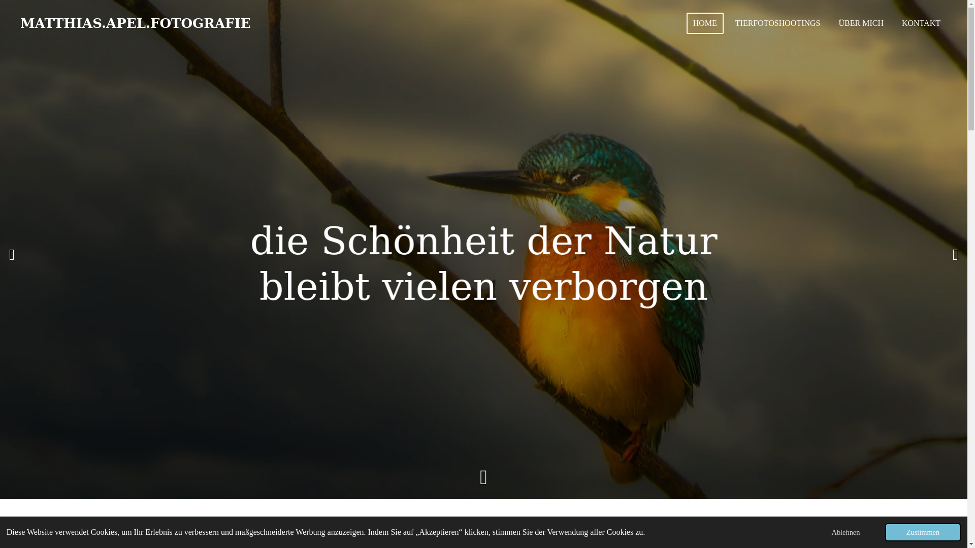 website screenshot of https://matthiasapel.de/