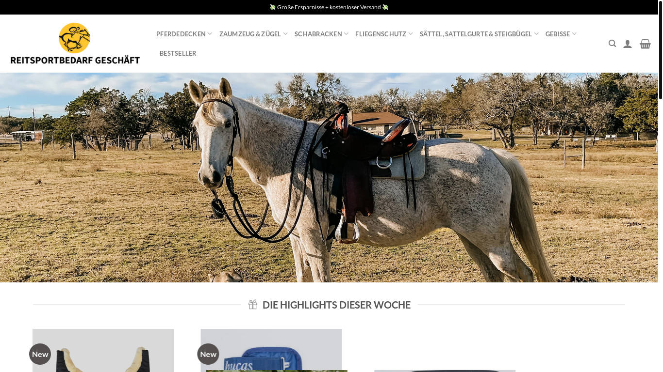 website screenshot of https://reitersbillig.com/