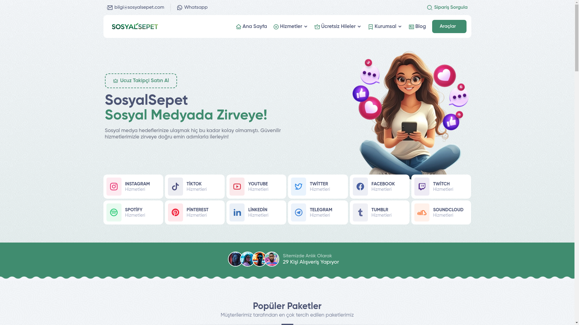 website screenshot of https://sosyalsepet.com
