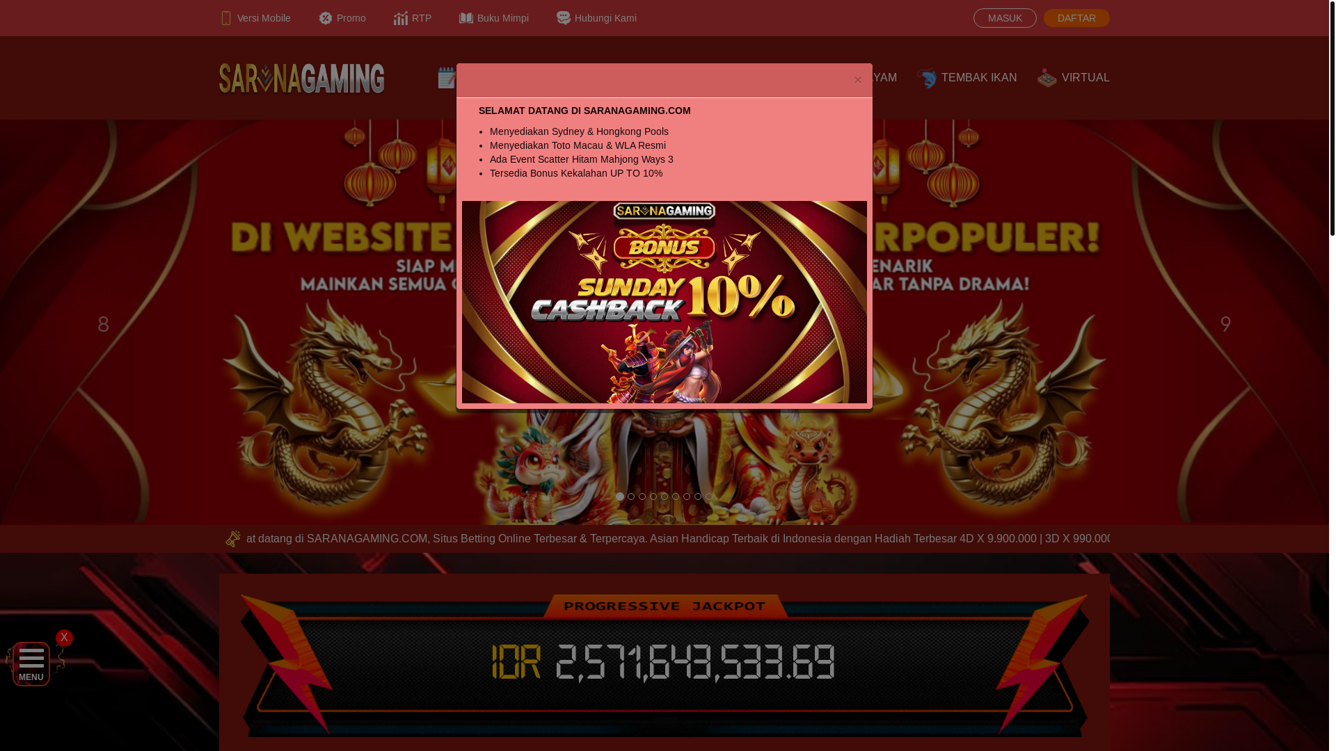 website screenshot of https://saranagaming01.life/