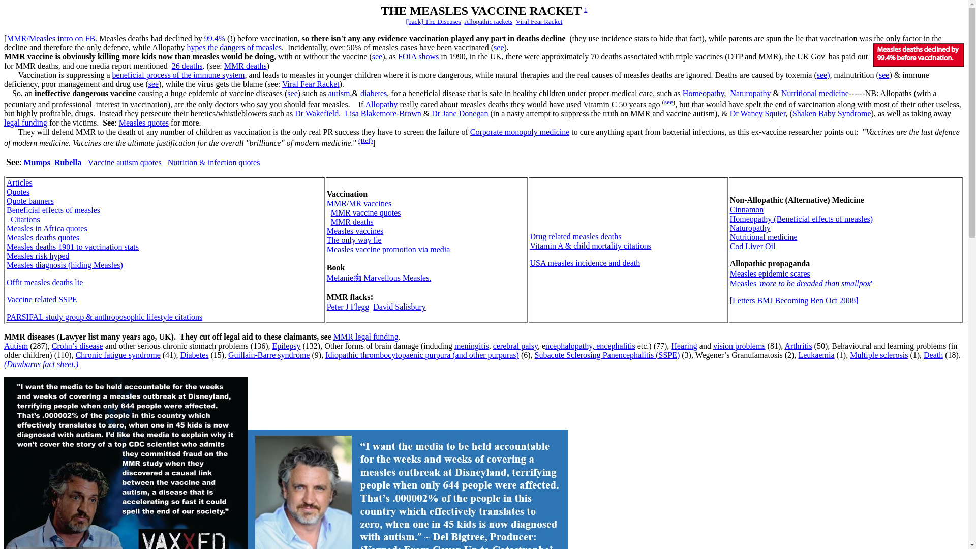 website screenshot of http://whale.to/vaccines/measles.html