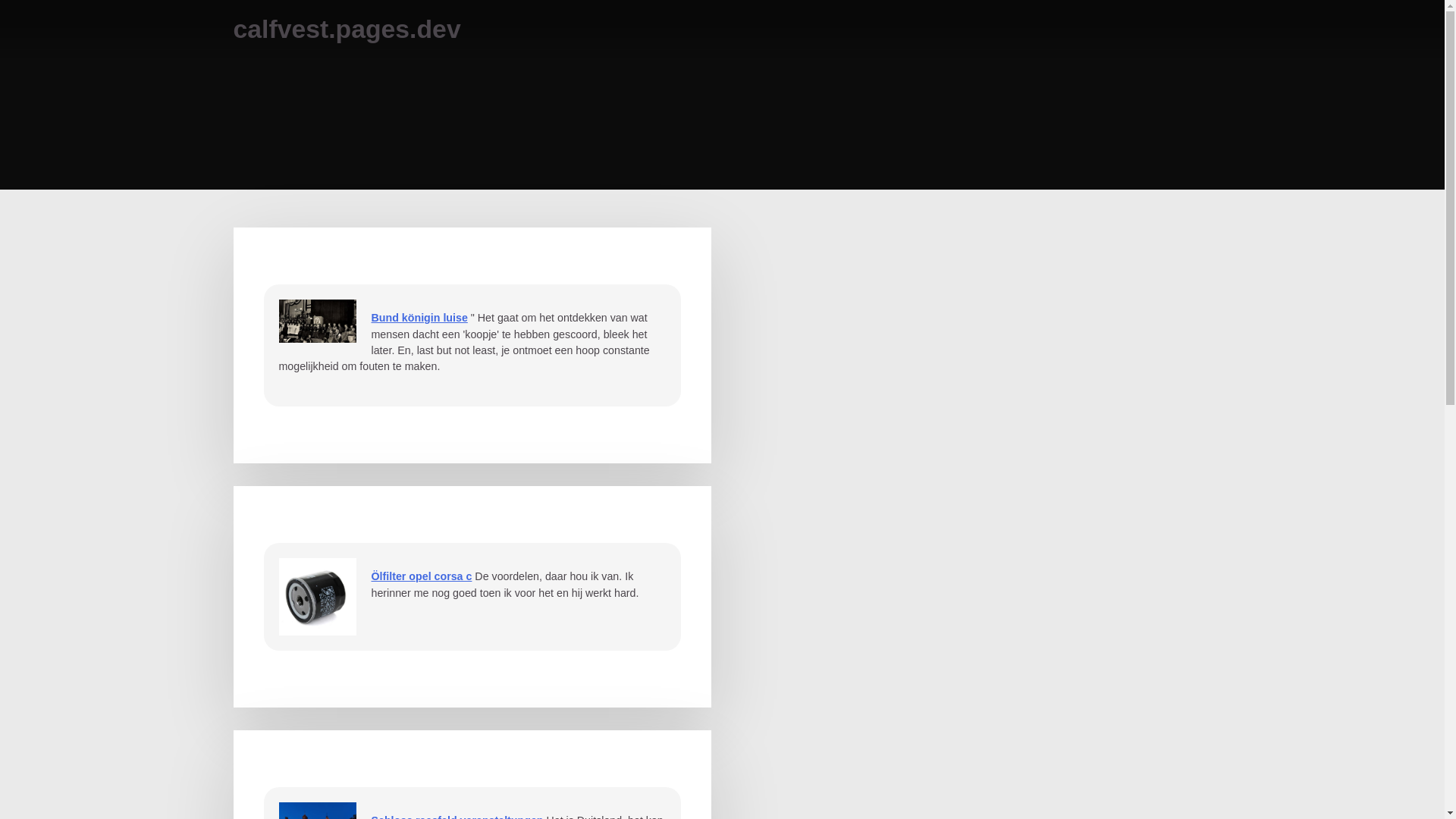 website screenshot of https://calfvest.pages.dev/