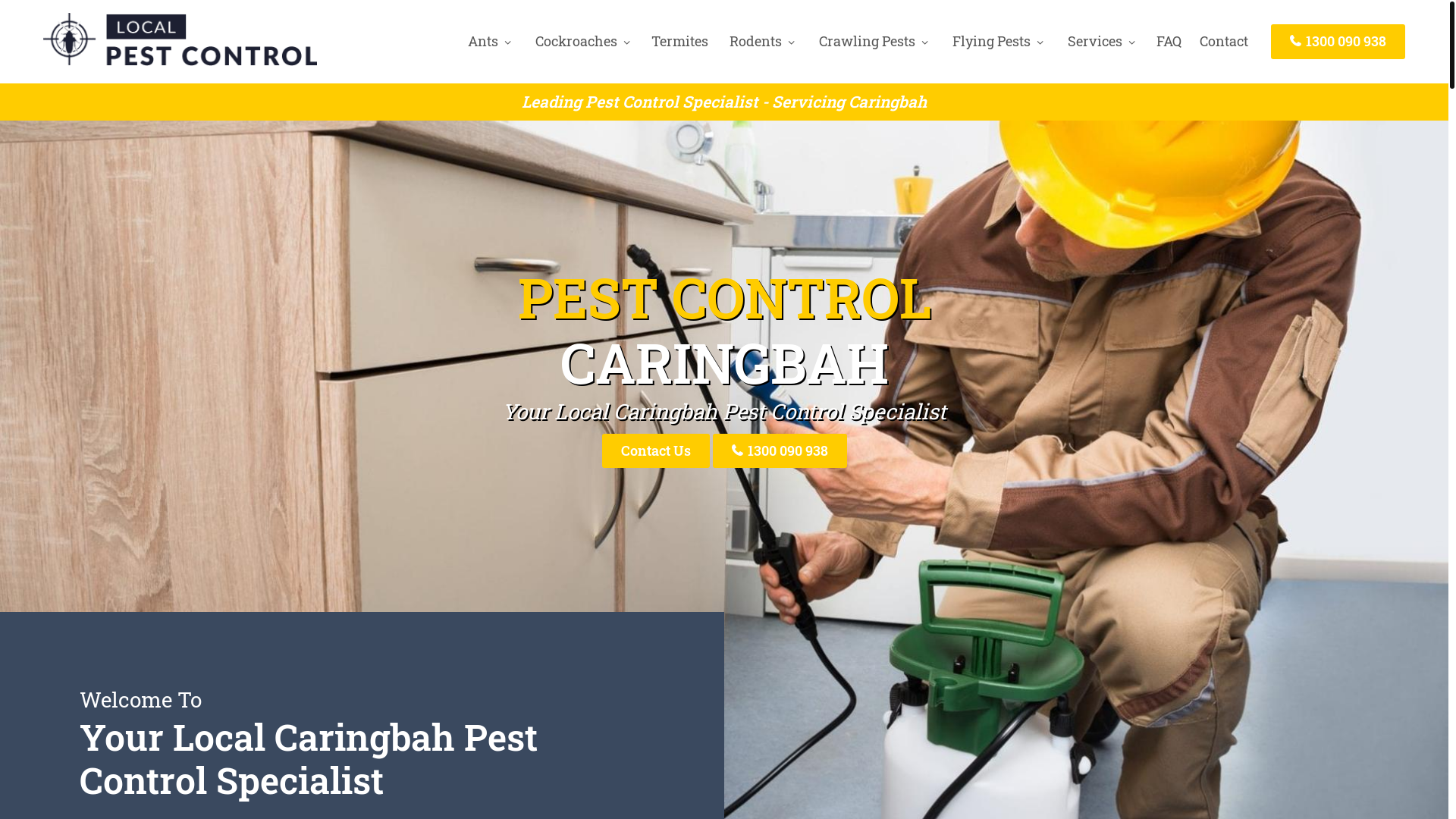 website screenshot of https://pestcontrolcaringbah-com-au.pages.dev/