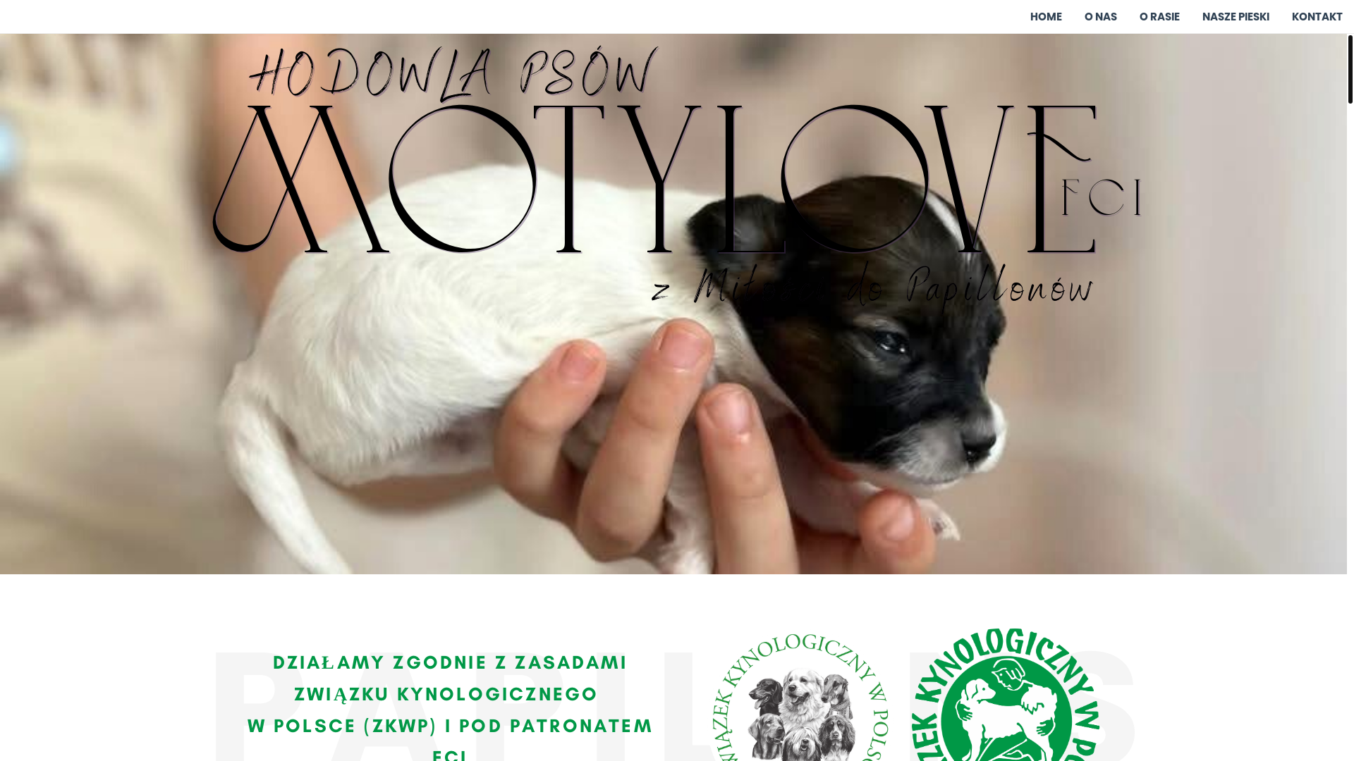 website screenshot of https://motylove-fci.com/