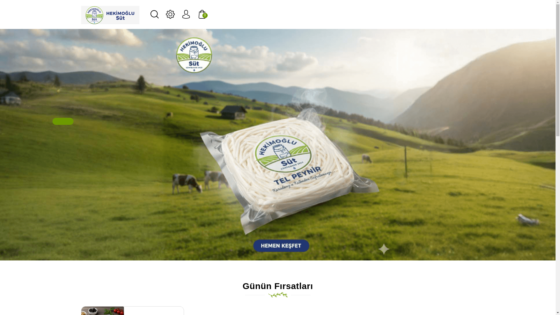 website screenshot of https://hekimoglusut.com/