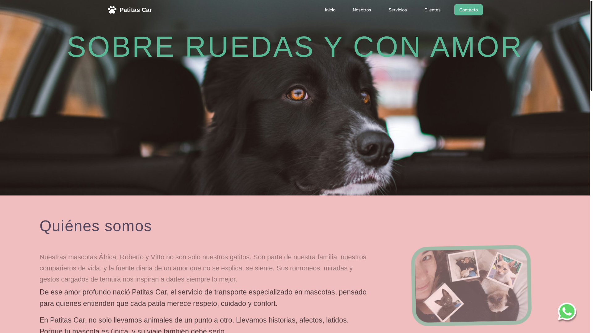 website screenshot of https://patitascar.com.ar/