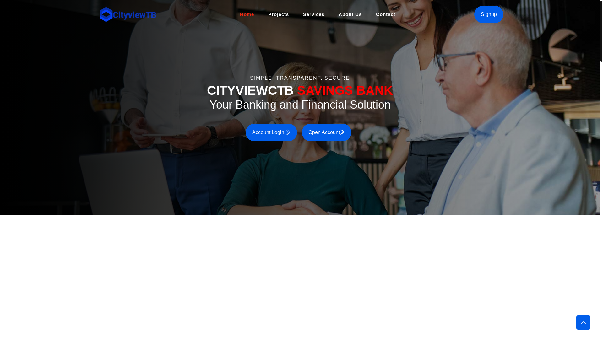 website screenshot of https://cityviewtb.pro/