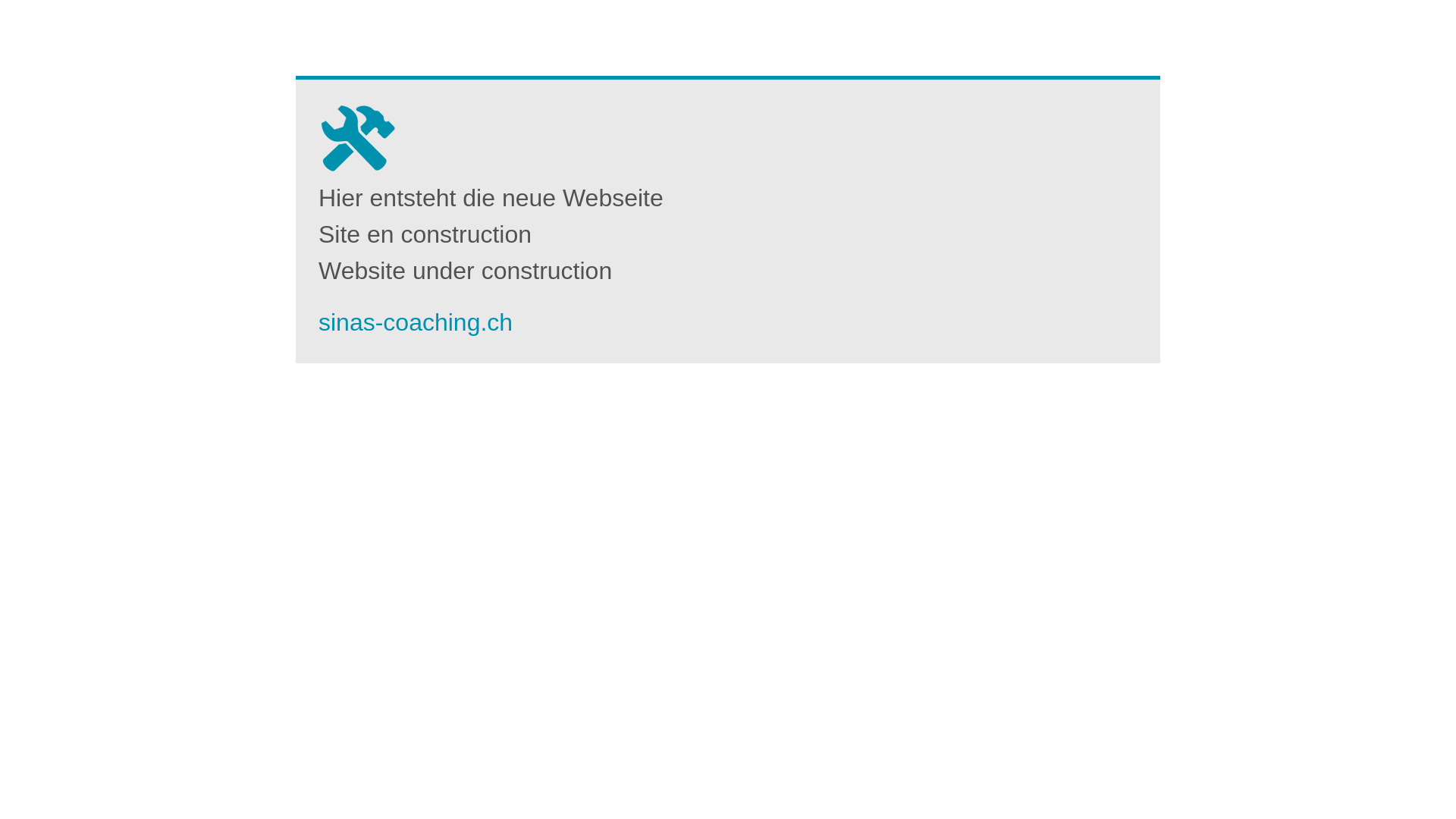 website screenshot of https://sinas-coaching.ch/