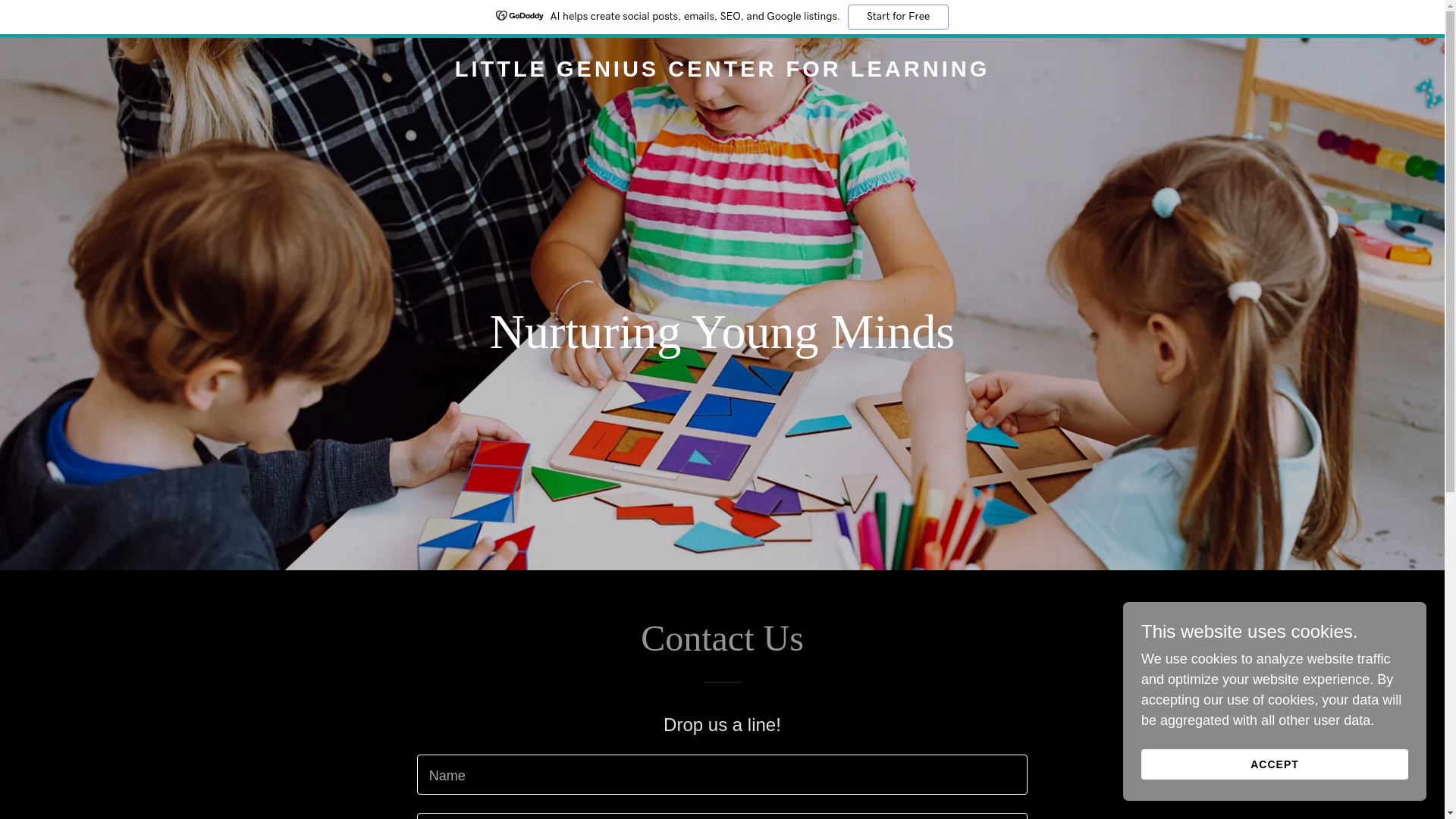 website screenshot of https://littlegeniuscenterforlearning.com/