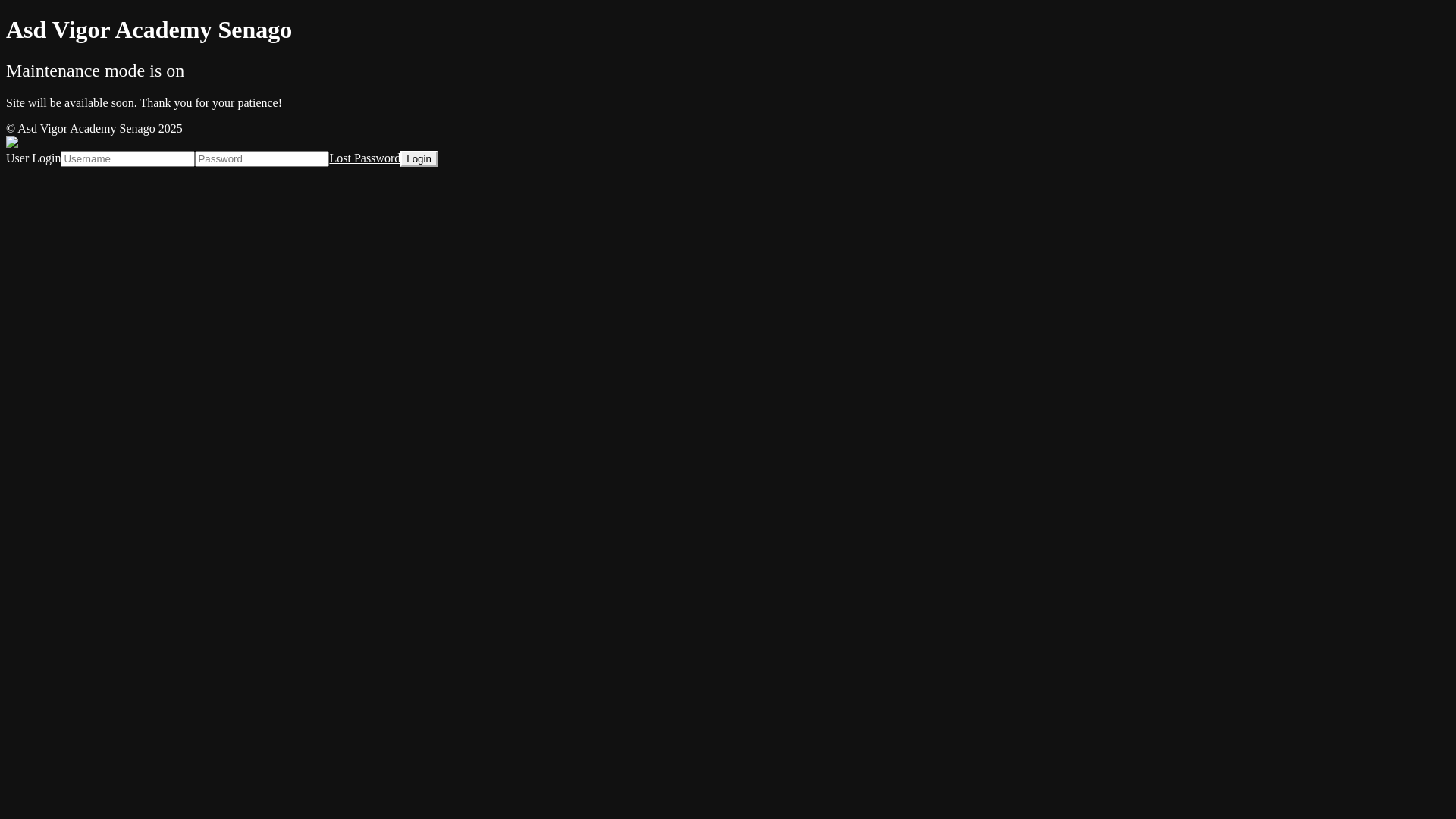 website screenshot of https://asdvigoracademysenago.it/