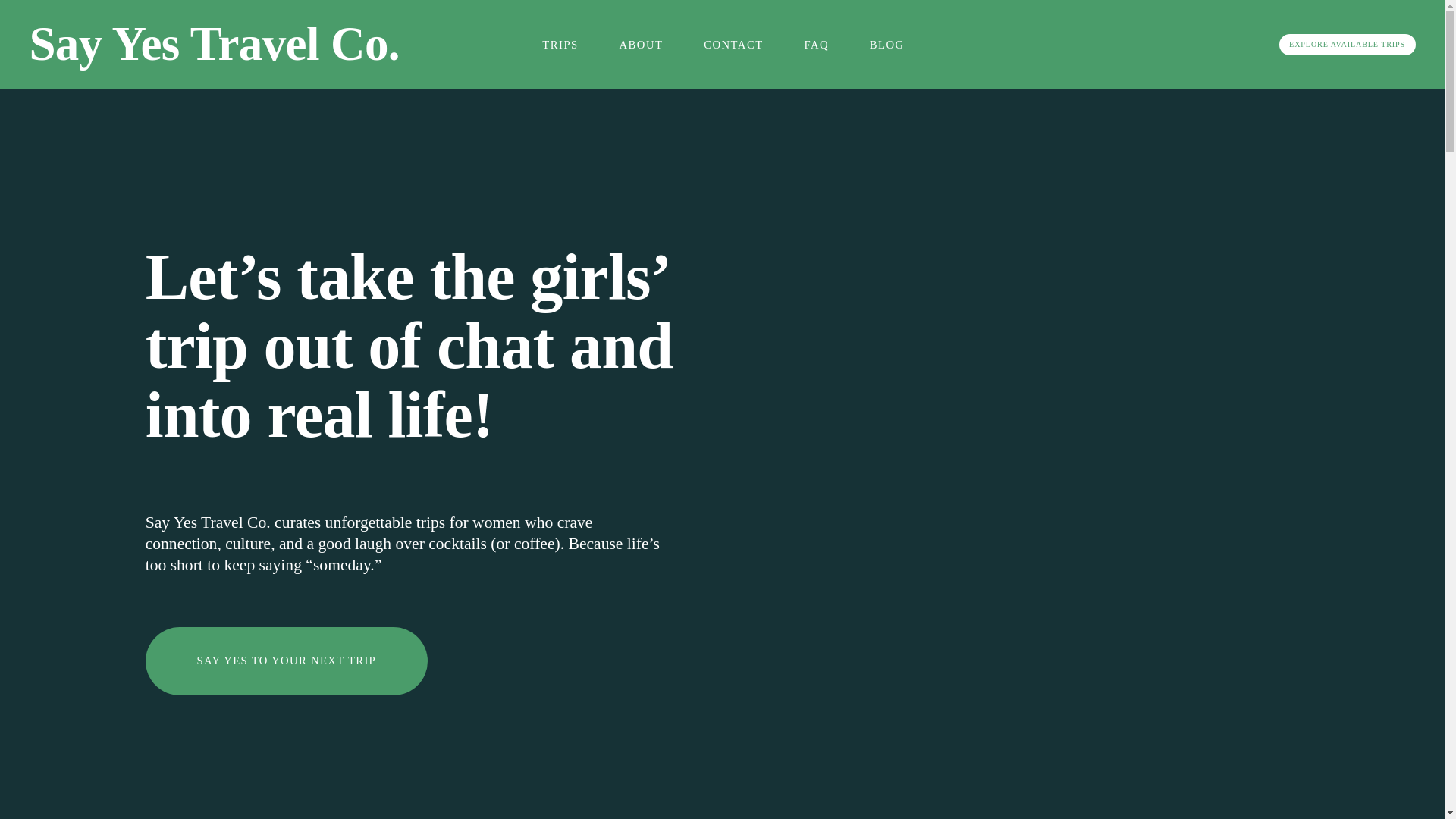 website screenshot of https://sayyestravelco.com/