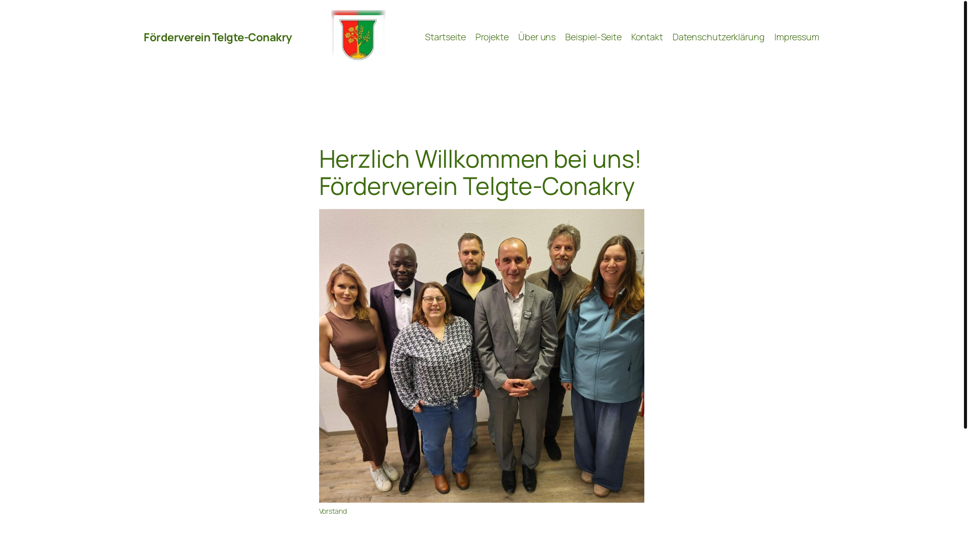 website screenshot of https://telgte-conakry.de/